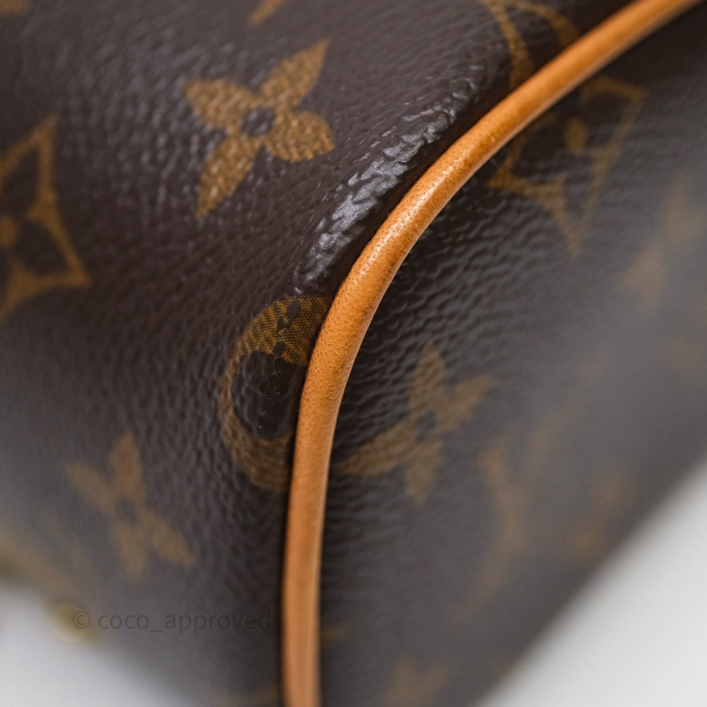 Louis Vuitton Nice Nano Monogram Canvas