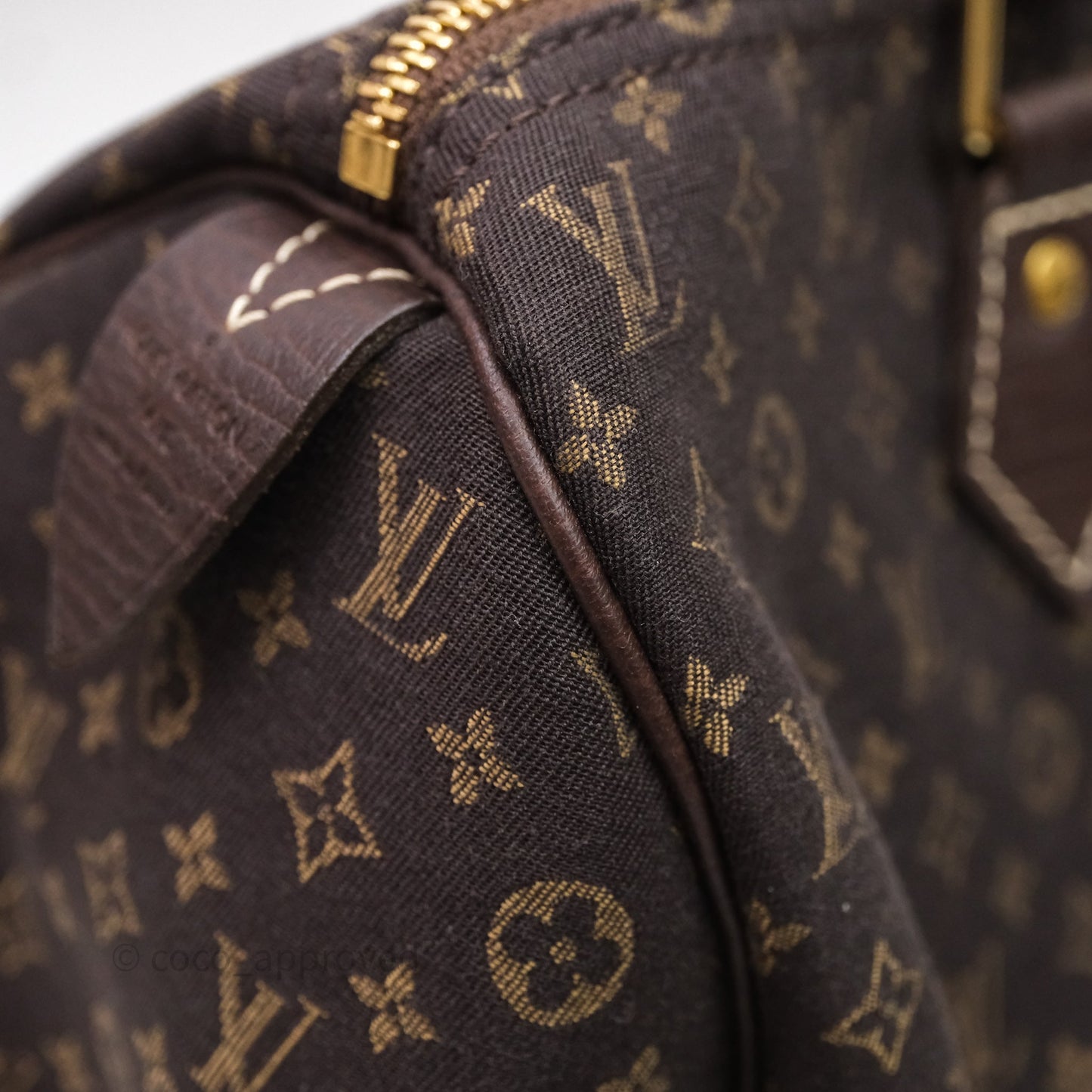 Louis Vuitton Speedy 30 Monogram Mini Lin