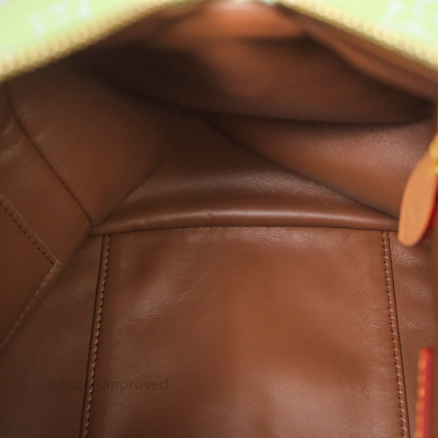 Louis Vuitton Speedy P9 Bandouliere 30 Vert Clair Bag