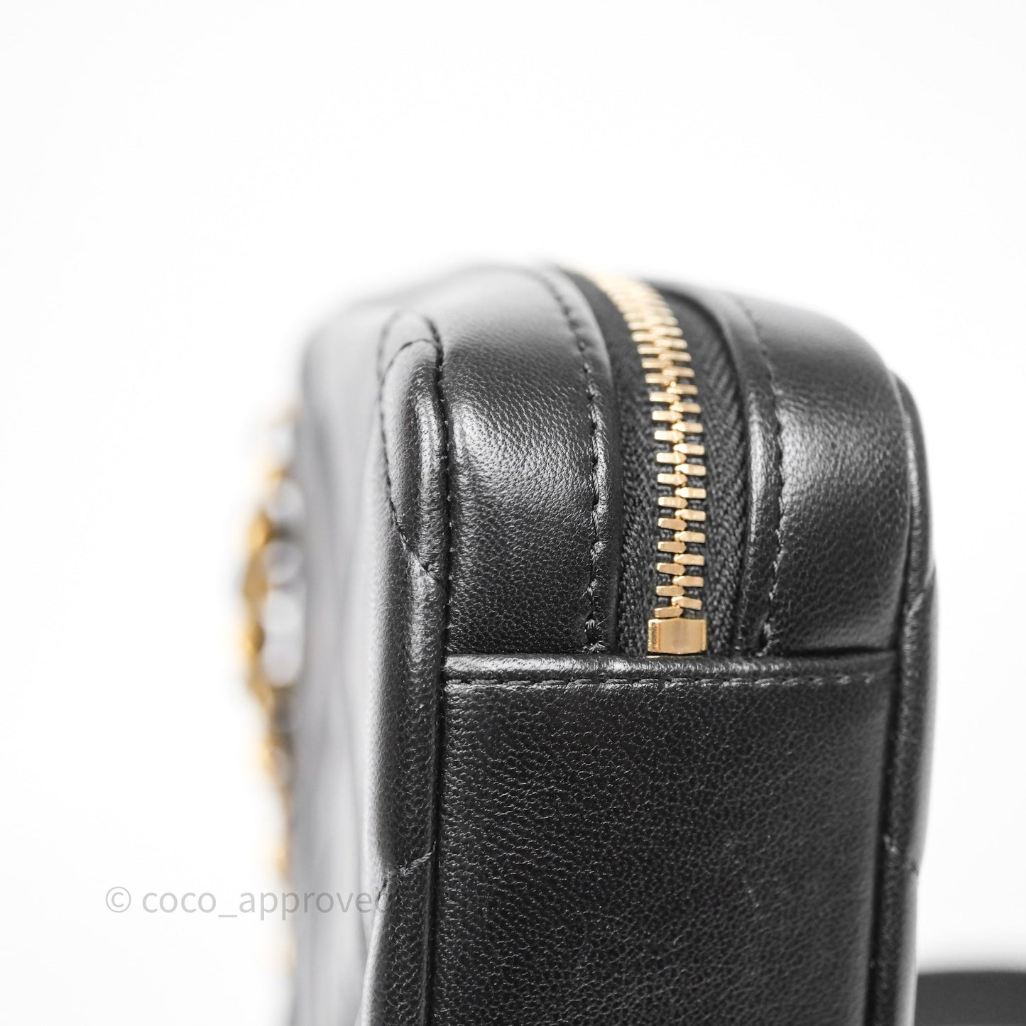 Chanel 19 Camera Bag Black Lambskin Mixed Hardware