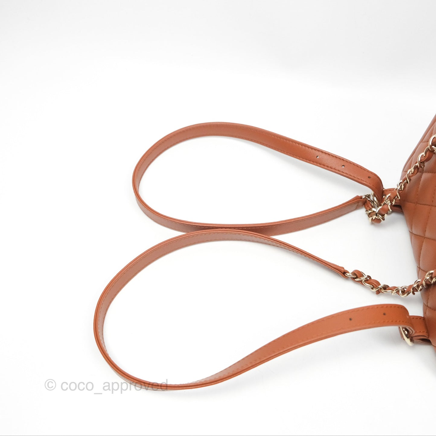 Chanel Medium Duma Backpack Tan Brown Calfskin Gold Hardware