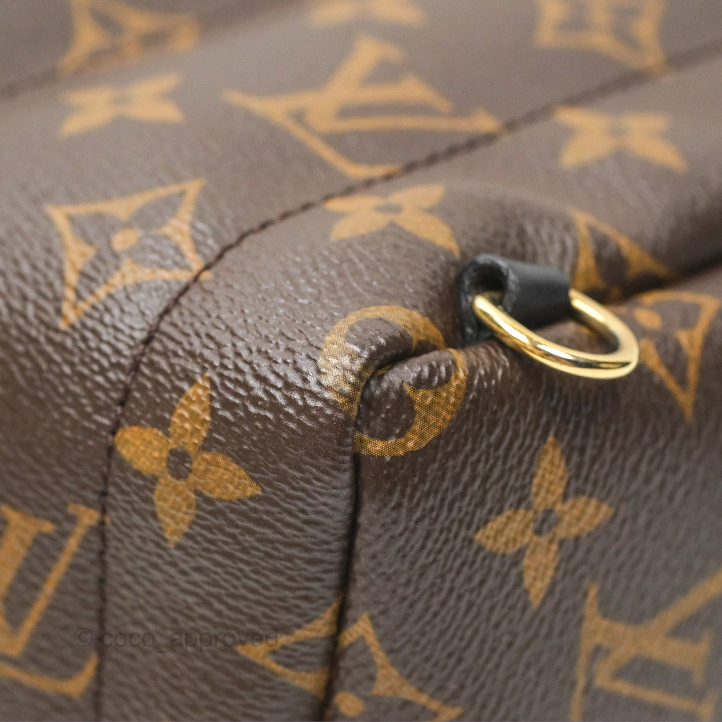Louis Vuitton Mini Palm Springs Backpack⁣ Monogram Canvas