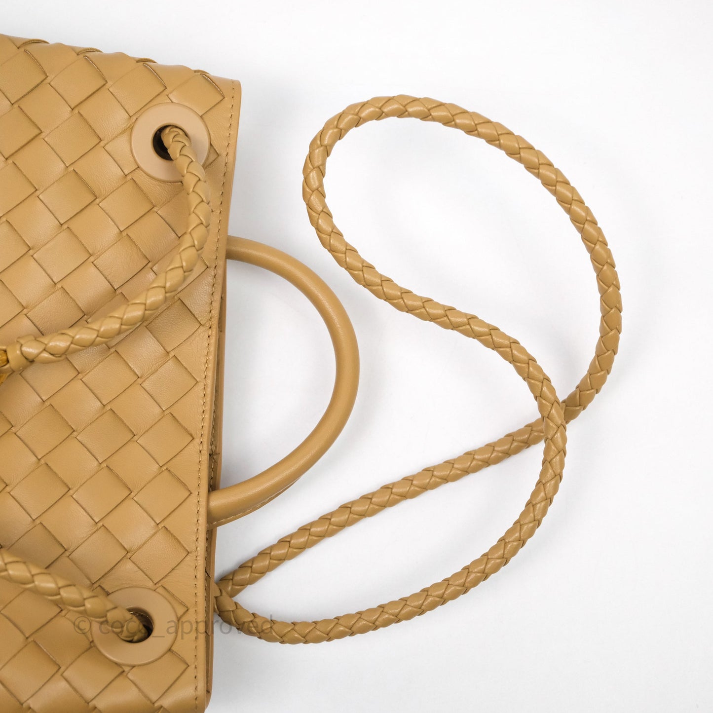 Bottega Veneta Small Andiamo Bag Dark Praline Intrecciato Lambskin