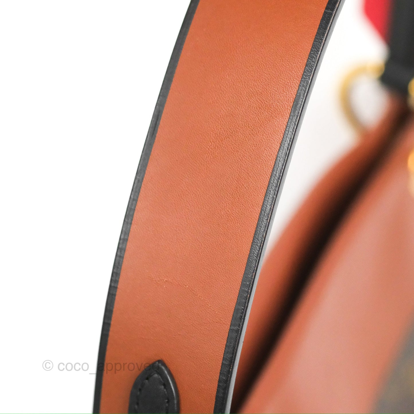 Louis Vuitton Tuileries Besace Bag Brown/Red Monogram