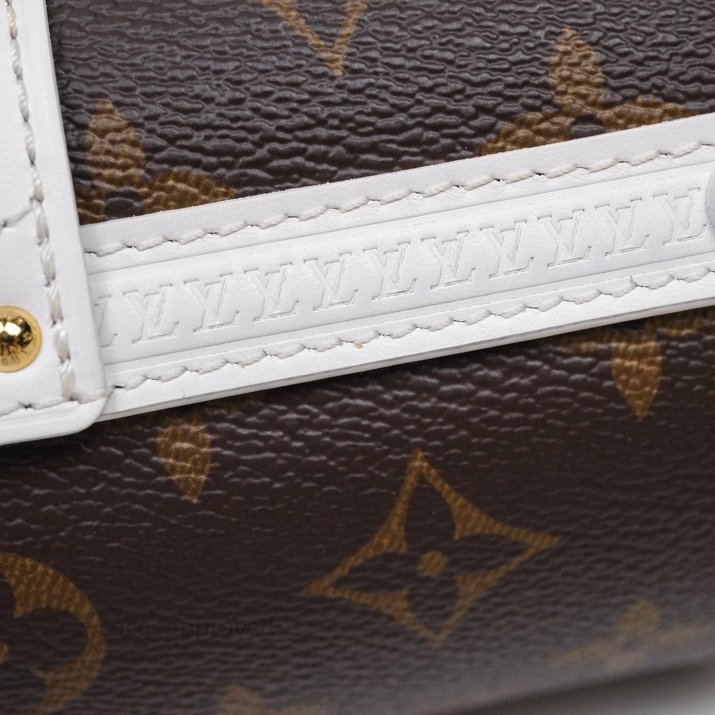 Louis Vuitton Monogram Papillon Trunk Bag