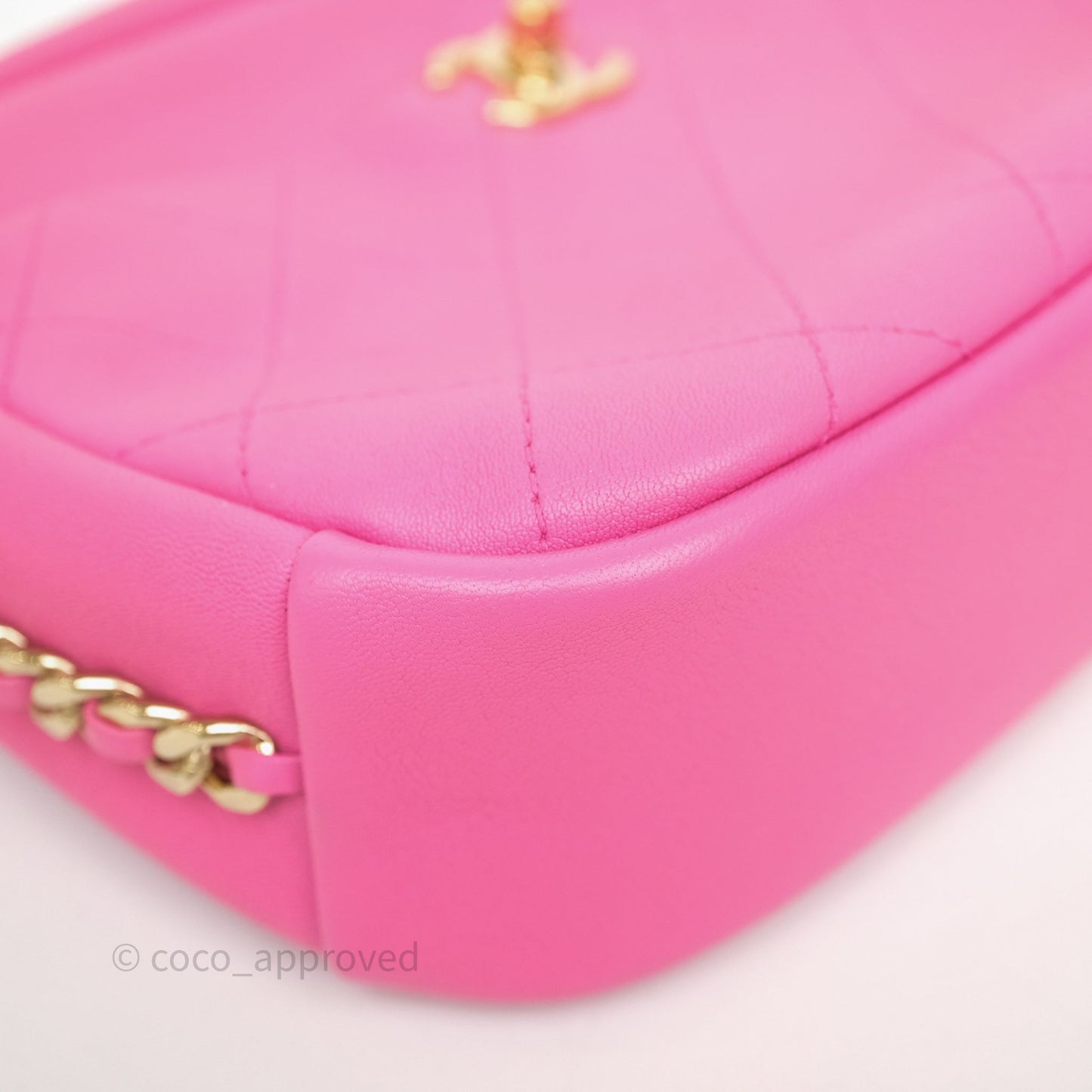 Chanel Camera Bag Pink Calfskin Aged Gold Hardware