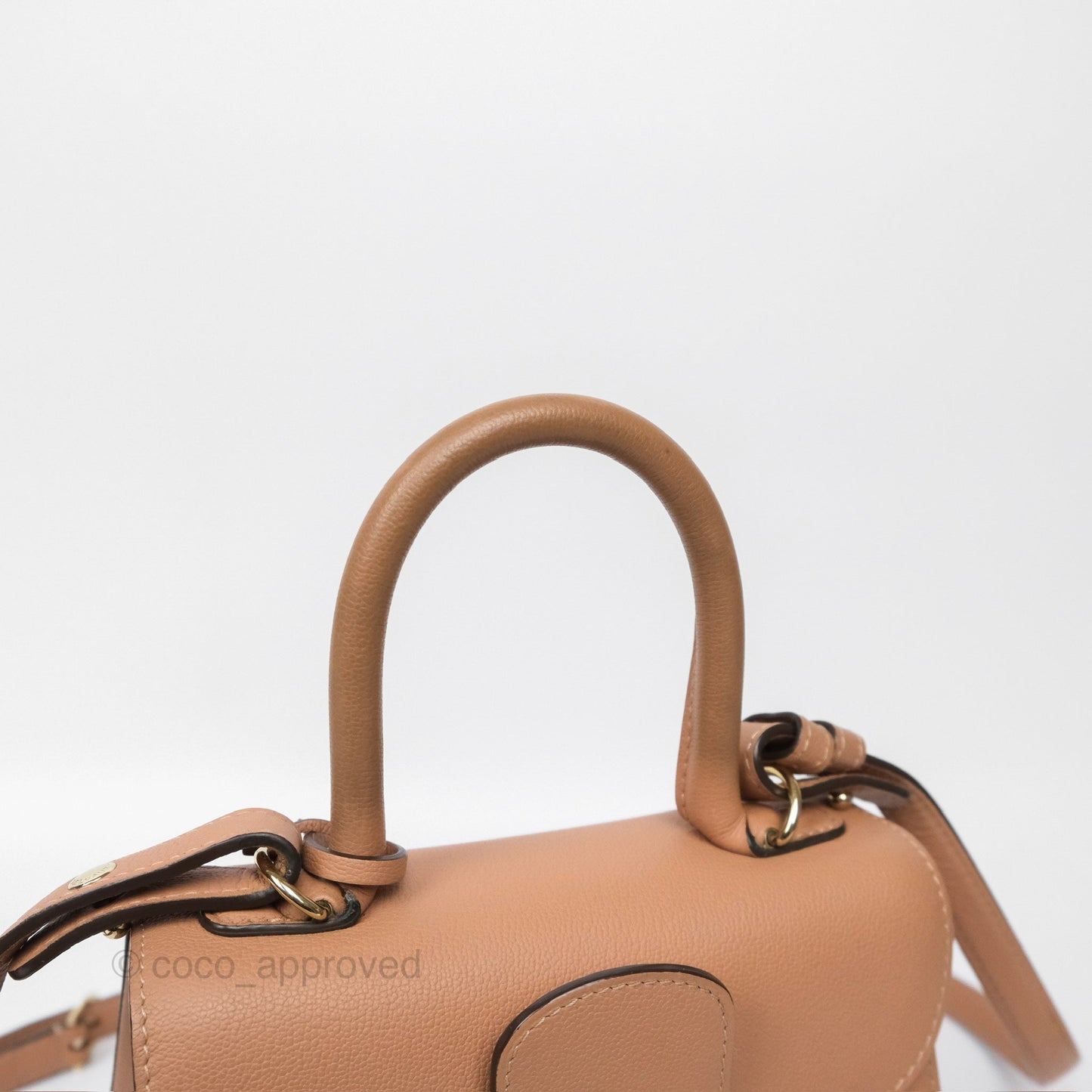 Delvaux Mini Brillant Bag Nude Grained Calfskin Gold Hardware