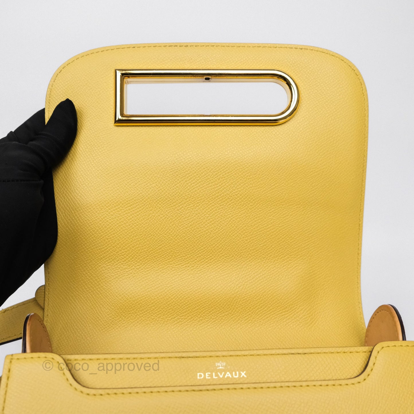 Delvaux Lingot Bag Pollen Alpina Calfskin