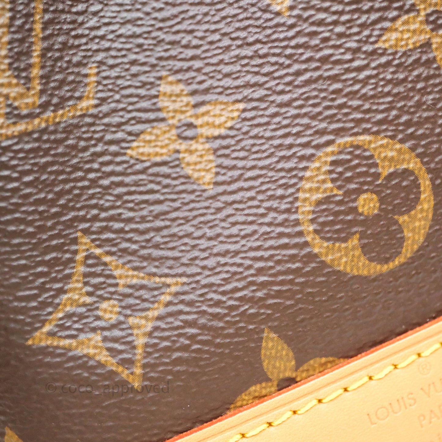 Louis Vuitton Nano Noe Monogram Canvas
