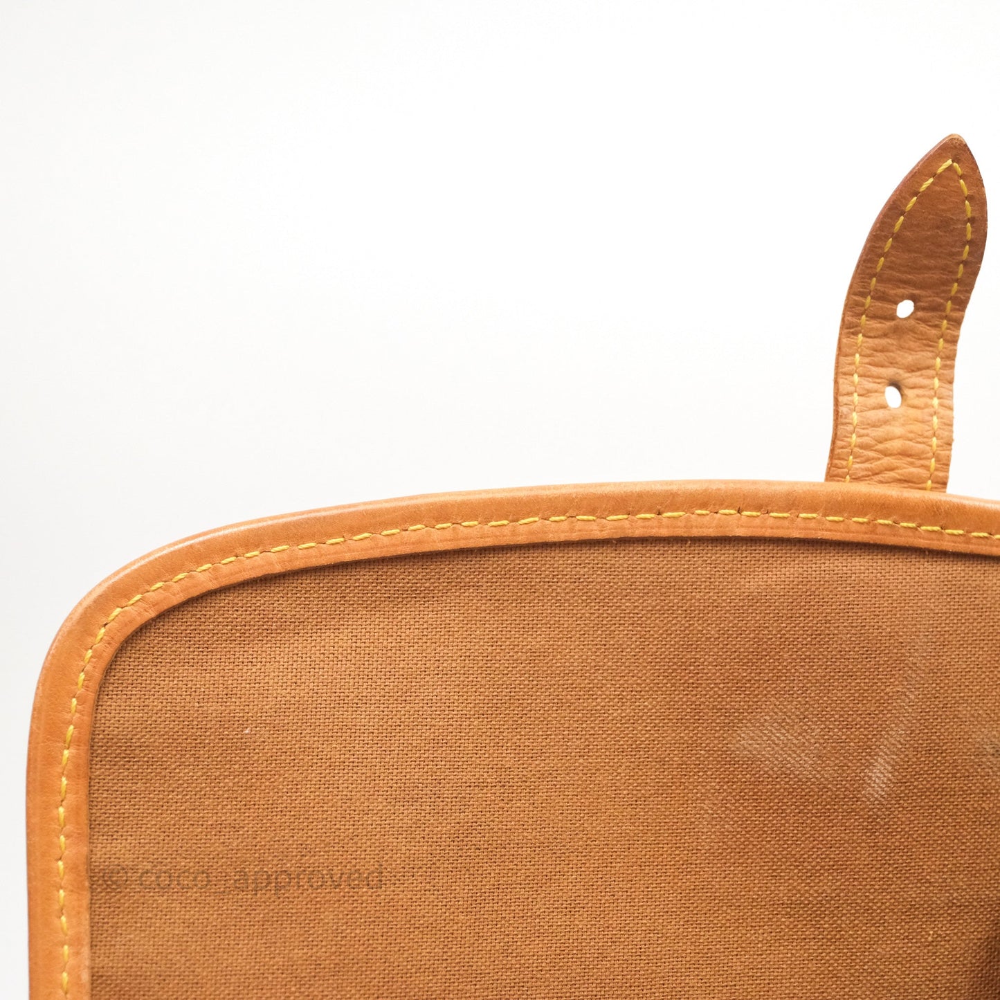 Louis Vuitton Vintage Diane Bag Monogram Canvas