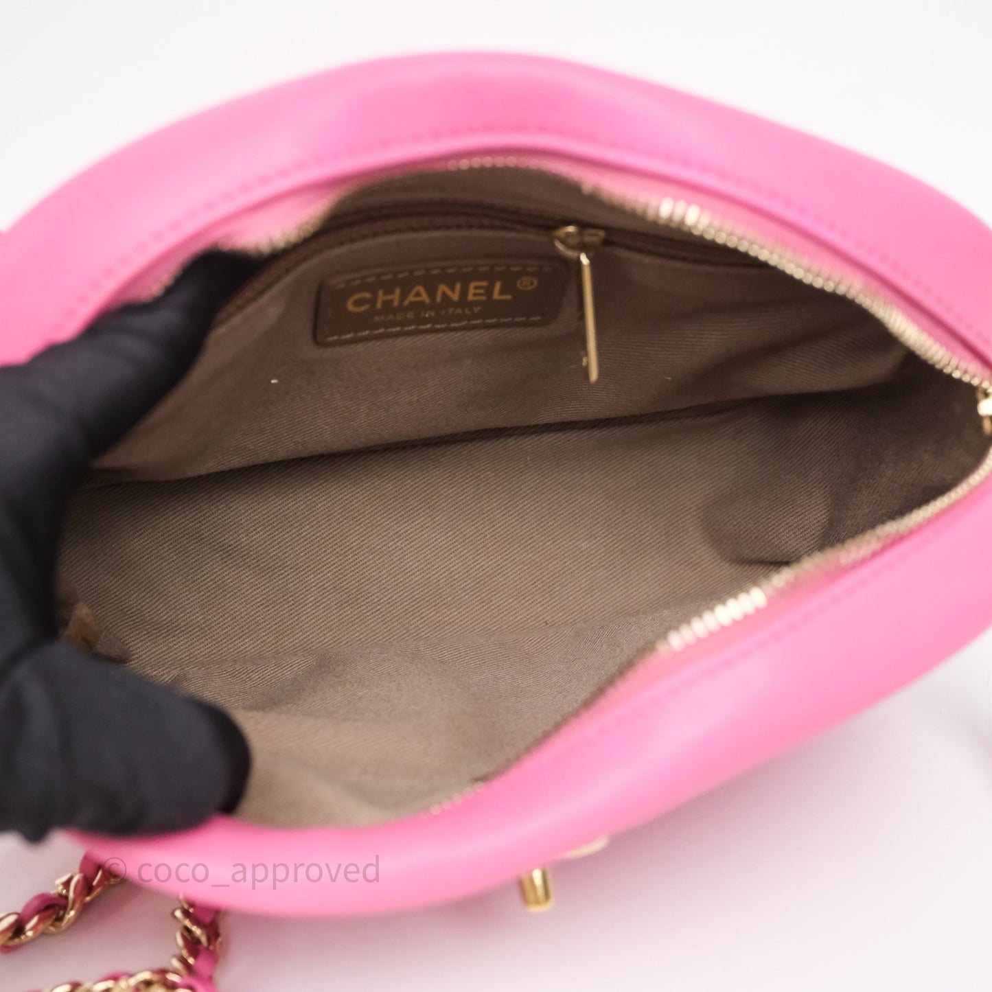 Chanel Camera Bag Pink Calfskin Aged Gold Hardware