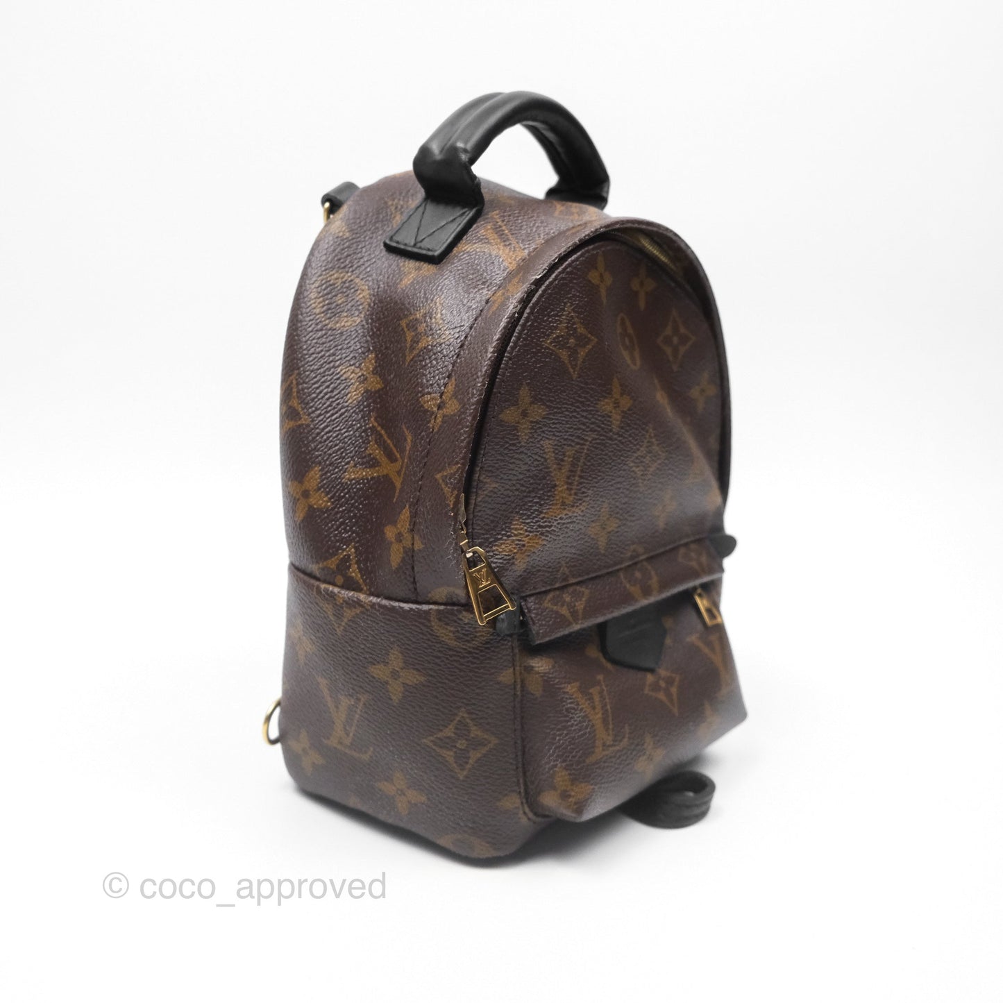 Louis Vuitton Monogram Mini Palm Springs Backpack⁣