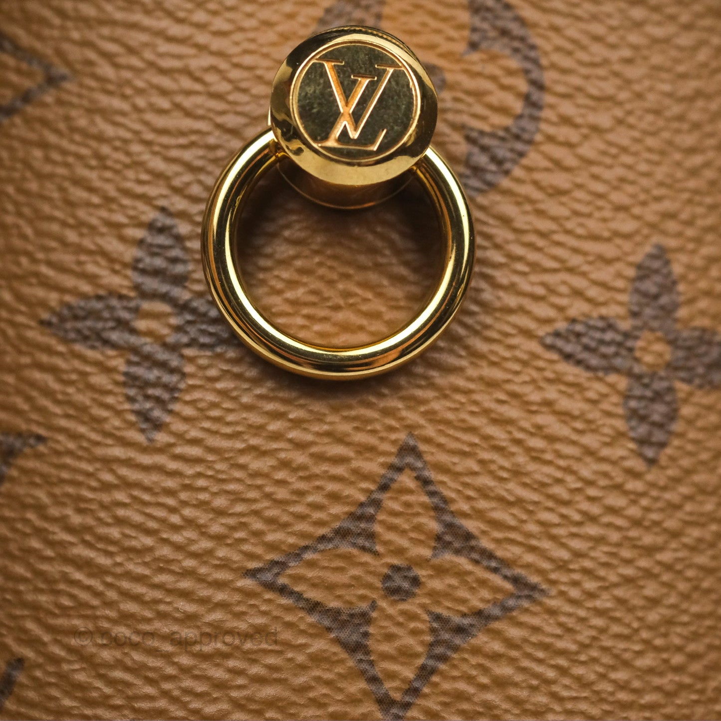 Louis Vuitton Monogram Canvas Reverse Cannes Bag