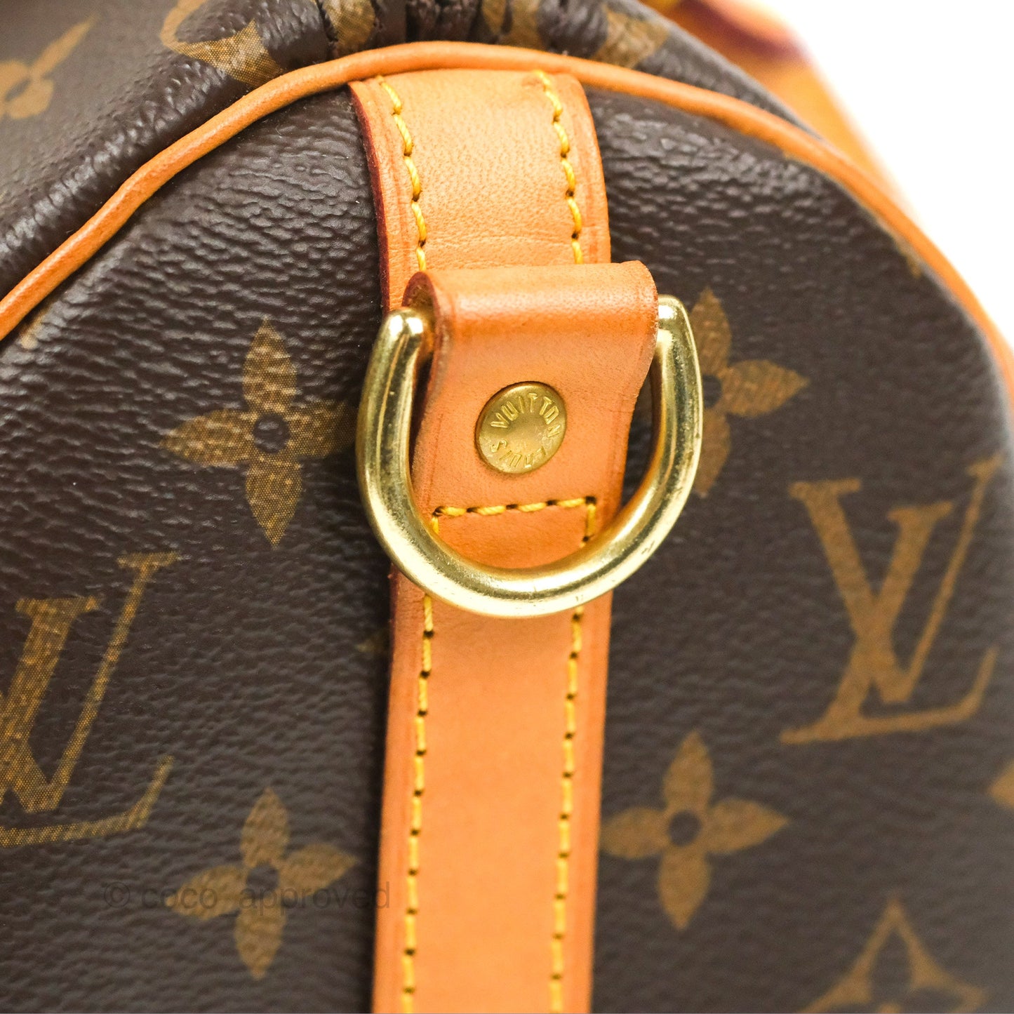 Louis Vuitton Speedy 25 Monogram Canvas