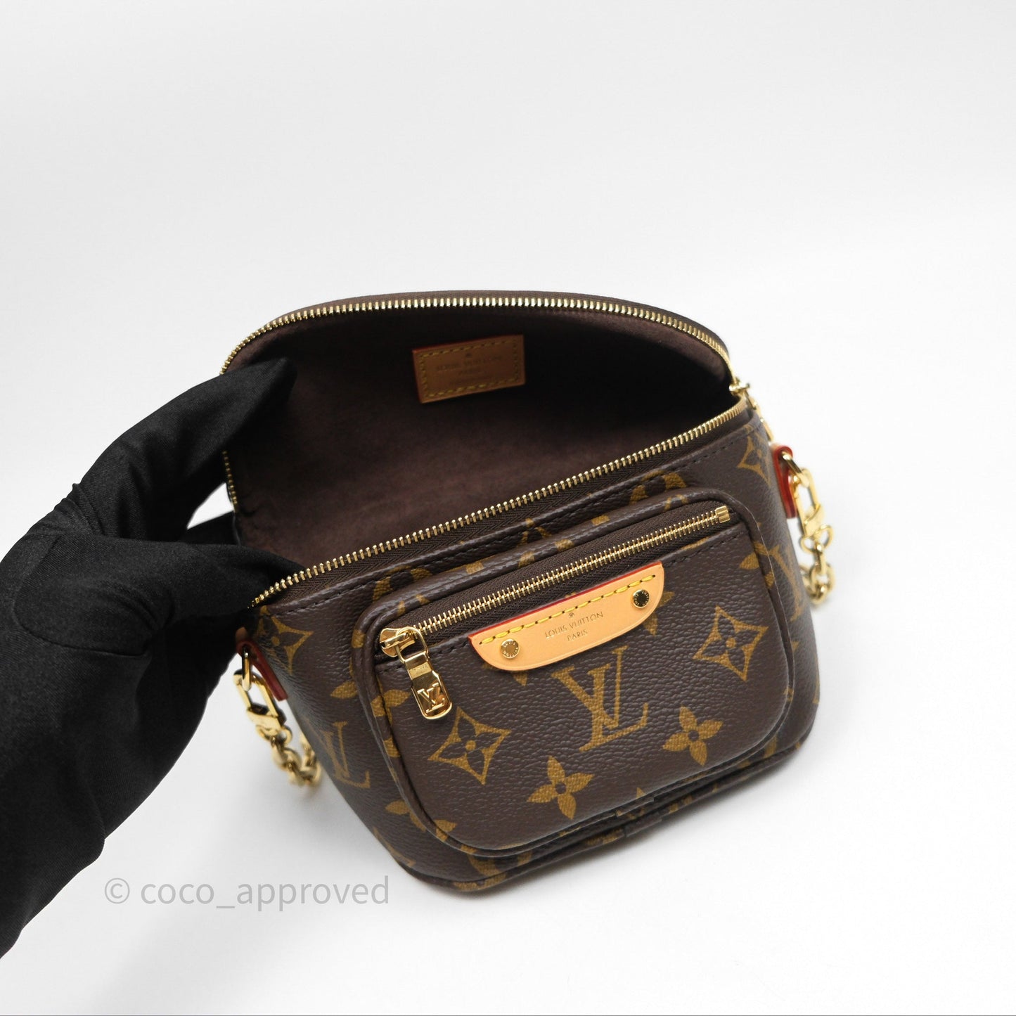 Louis Vitton Mini Bumbag in Monogram Canvas