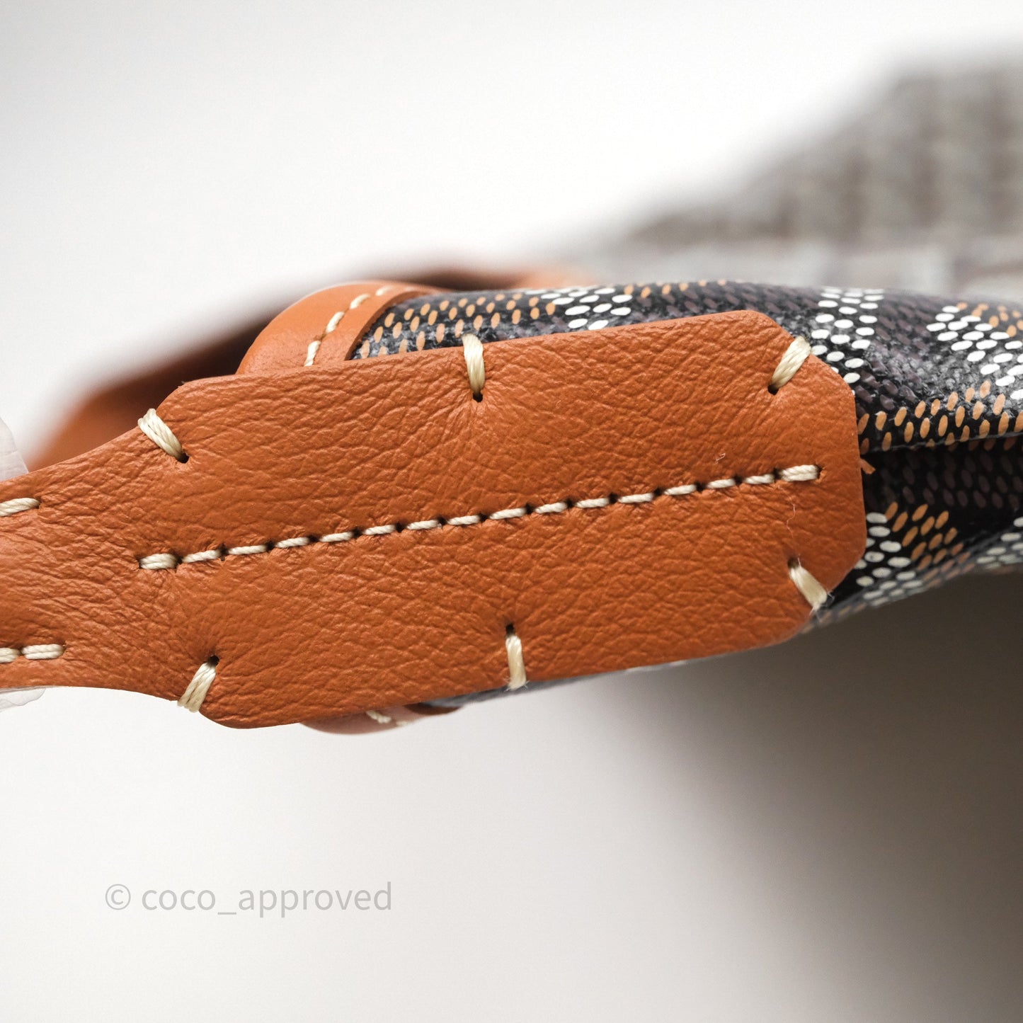 Goyard Bohème Hobo Bag Black & Tan