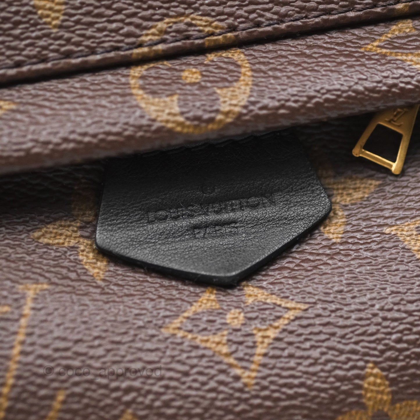 Louis Vuitton Monogram Mini Palm Springs Backpack⁣
