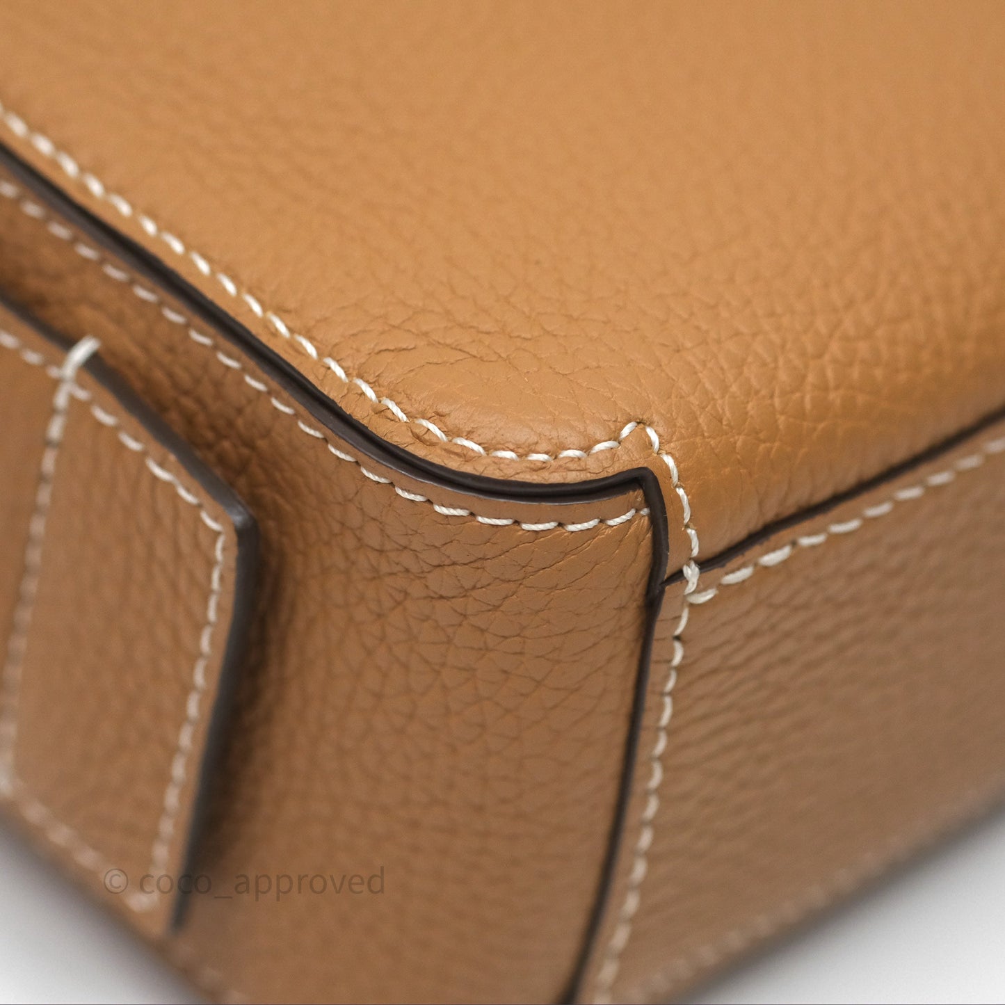 Delvaux Cool Box Nano Taurillon Soft Grained Calfskin Vegetal Ivory Gold Hardware