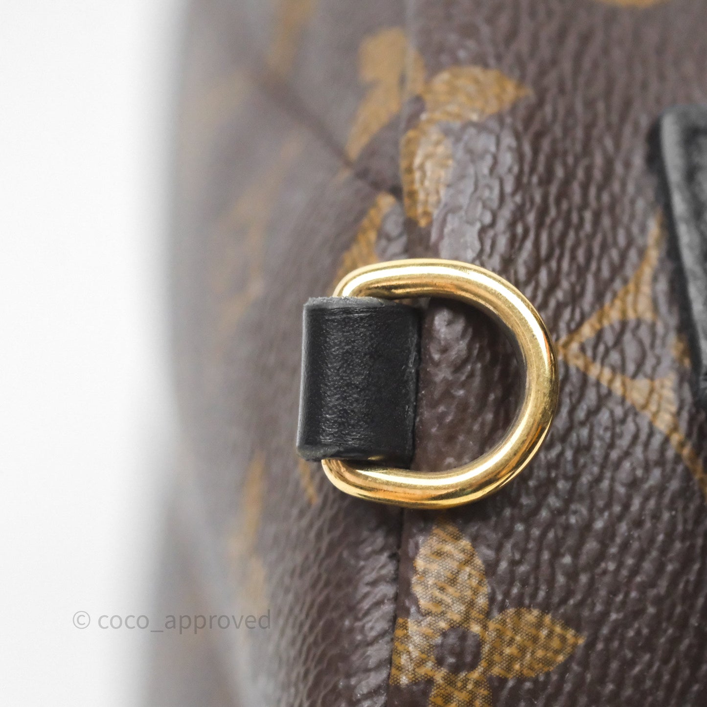 Louis Vuitton Mini Palm Springs Backpack⁣ Monogram