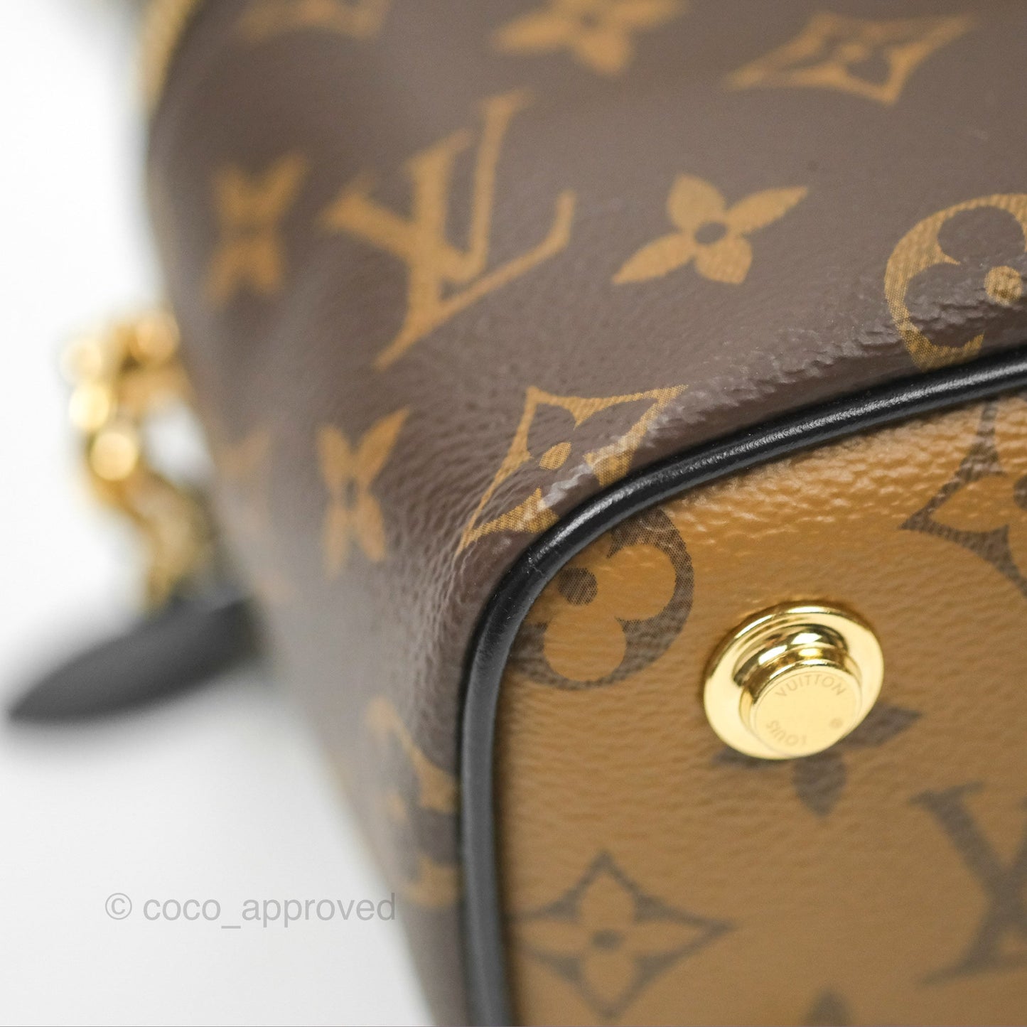 Louis Vuitton Reverse Monogram Vanity PM