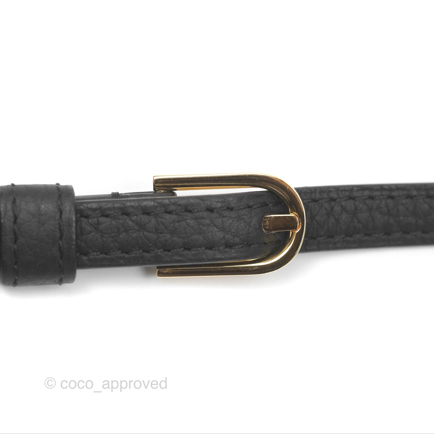 Delvaux Cool Box Nano Taurillon Soft Grained Calfskin Black Gold Hardware
