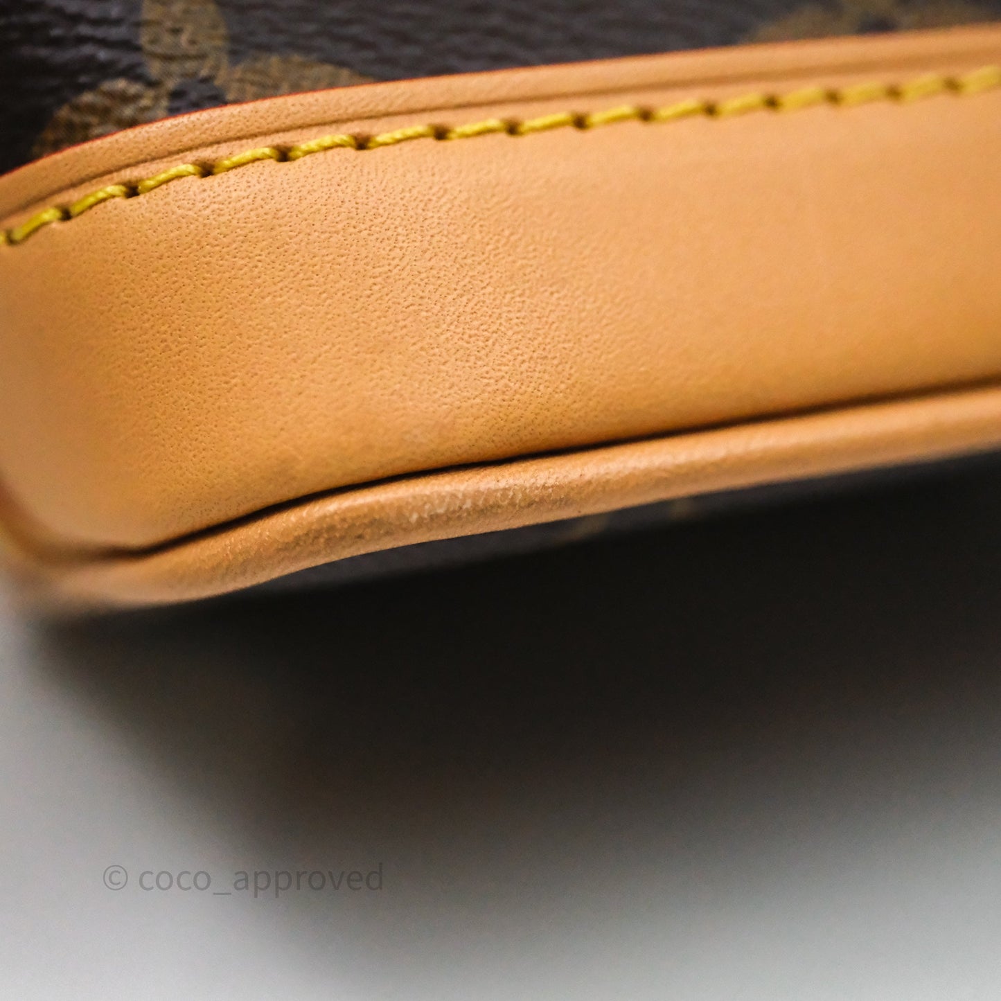 Louis Vuitton Nano Noe Monogram Canvas