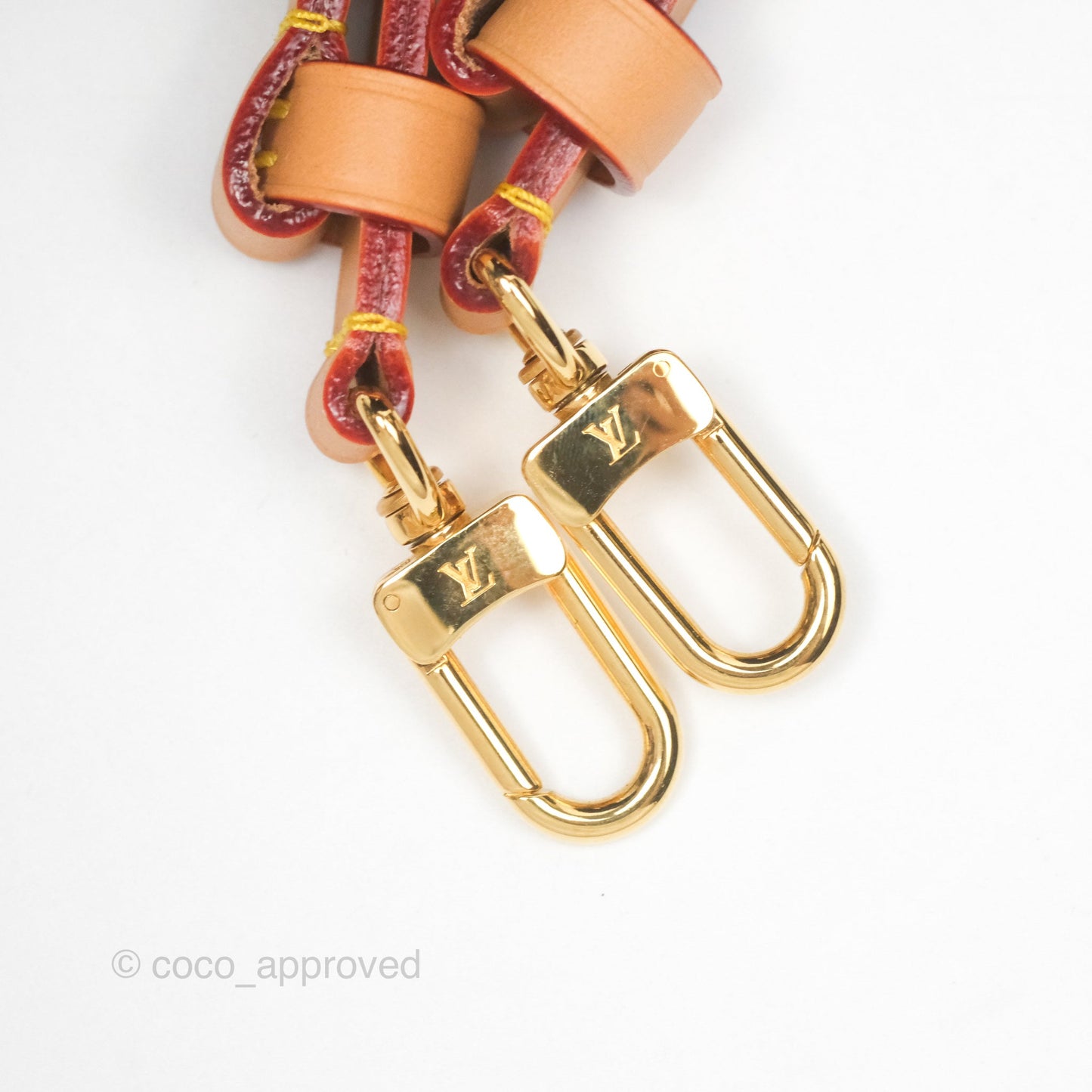 Louis Vuitton Wallet on Chain Ivy Monogram Canvas