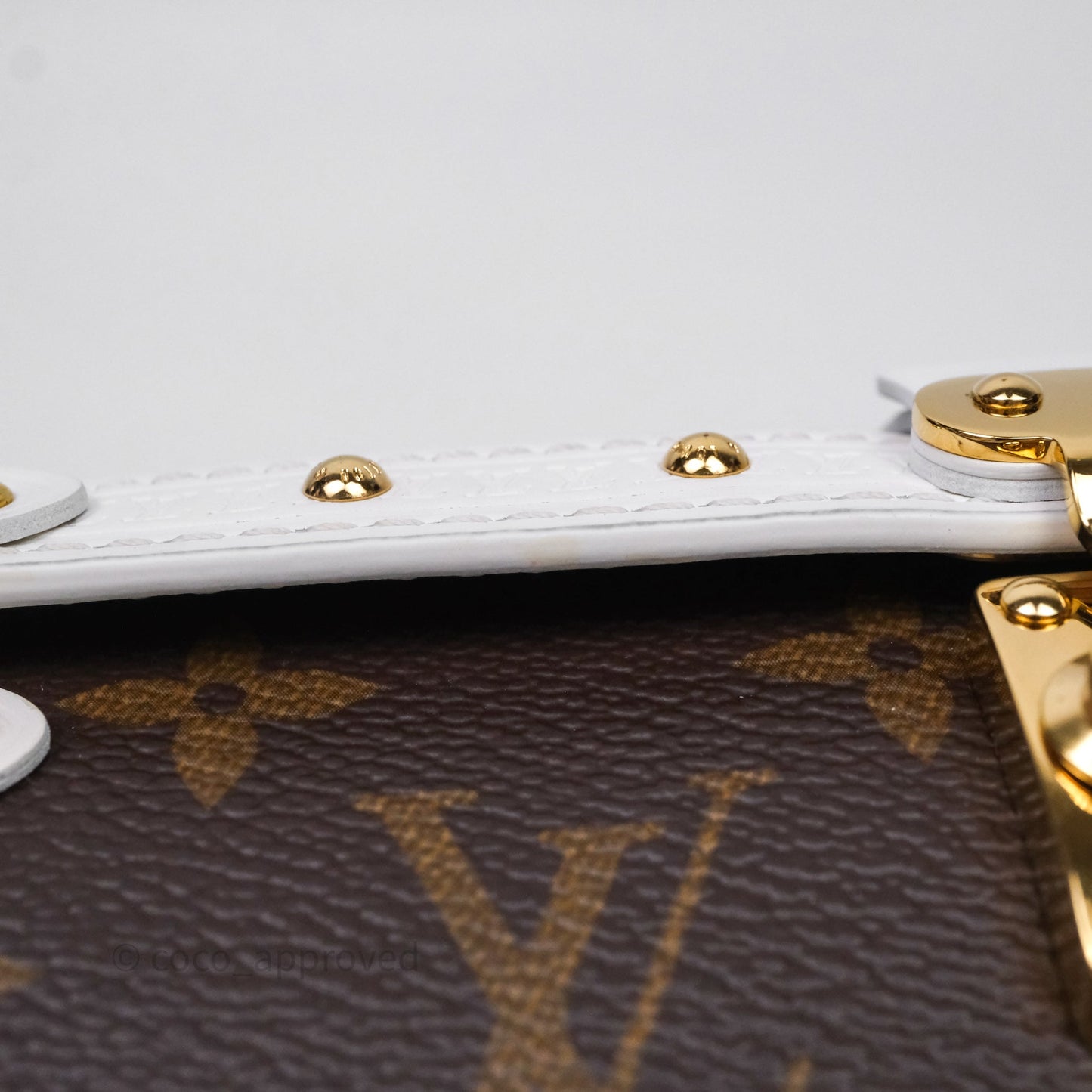 Louis Vuitton Monogram Papillon Trunk Bag
