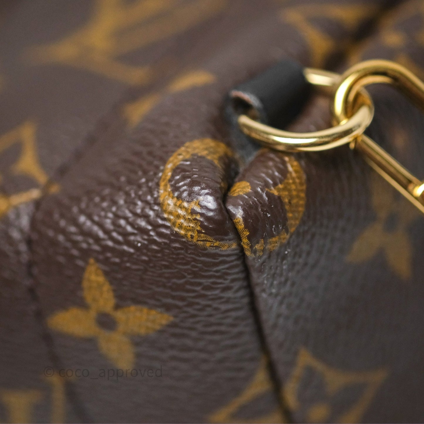 Louis Vuitton Monogram Mini Palm Springs Backpack⁣