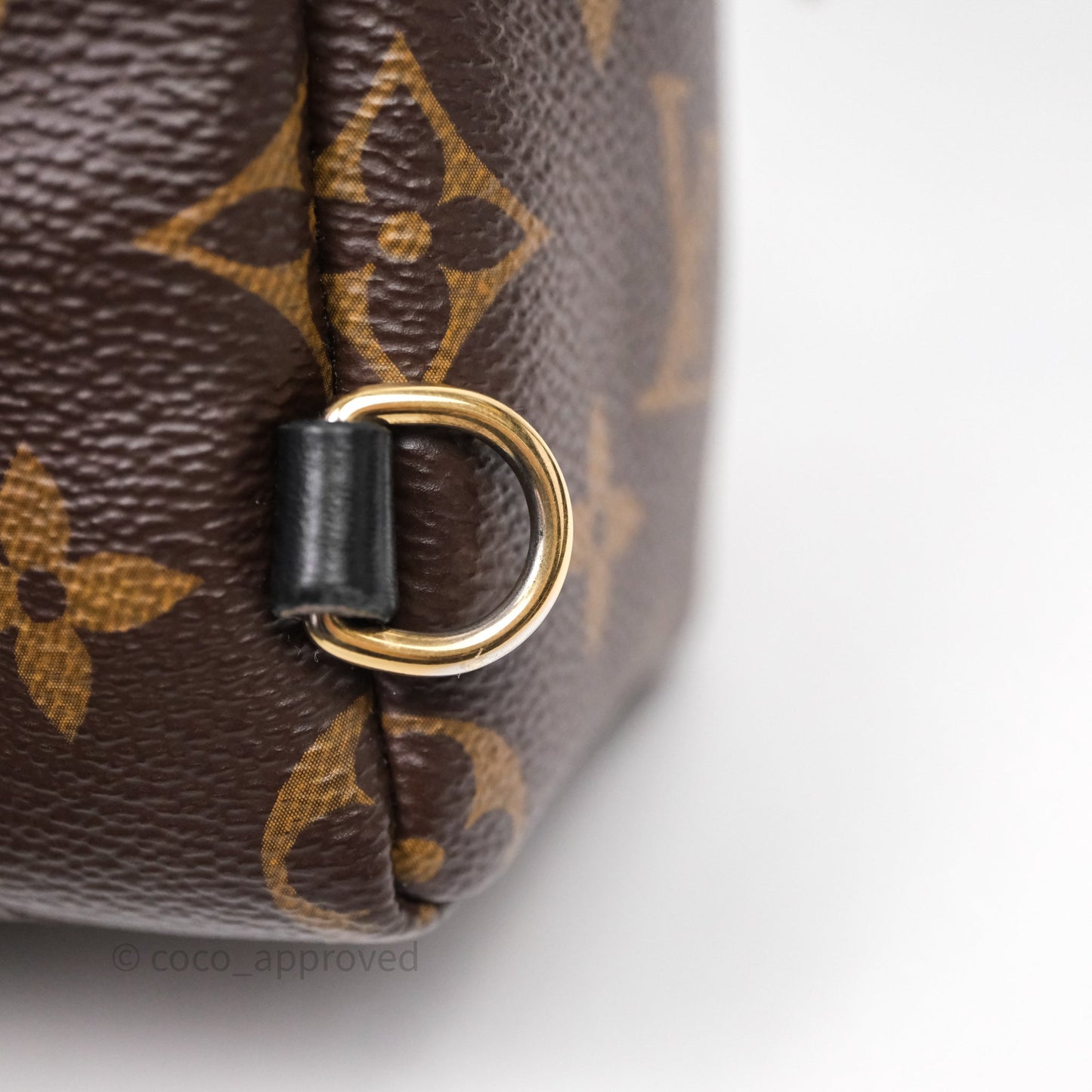 Louis Vuitton Mini Palm Springs Backpack⁣ Monogram