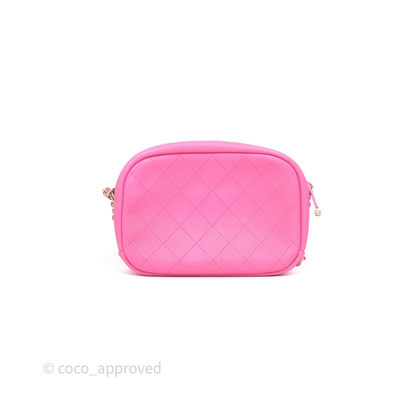 Chanel Camera Bag Pink Calfskin Aged Gold Hardware