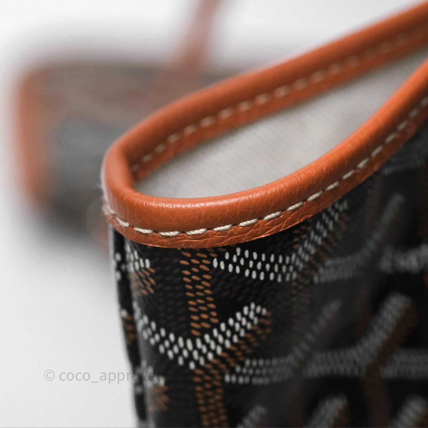 Goyard Saint Louis Tote PM⁣⁣⁣⁣⁣⁣⁣⁣⁣⁣⁣⁣⁣⁣⁣⁣⁣⁣⁣⁣ Black/Tan