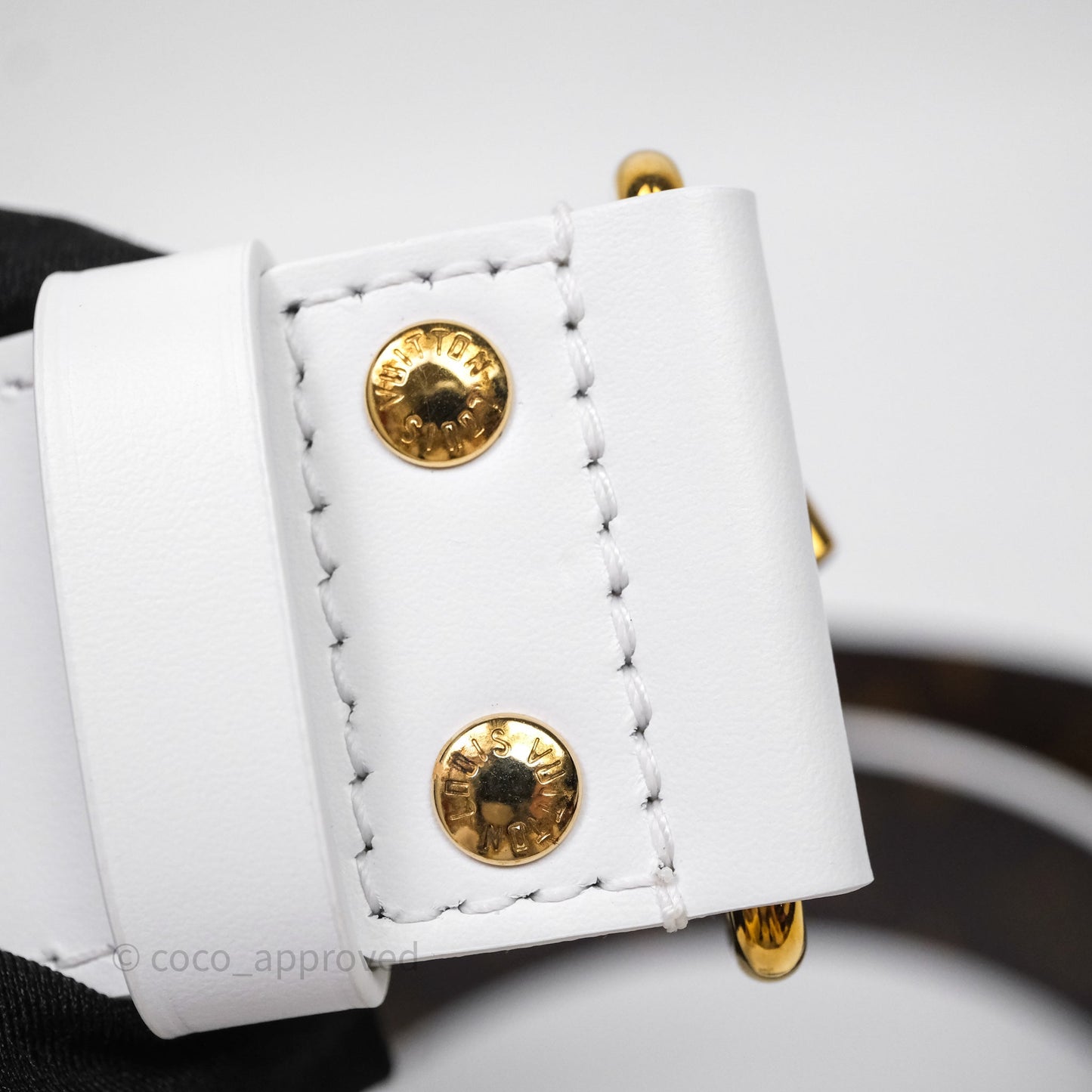 Louis Vuitton Monogram Papillon Trunk Bag