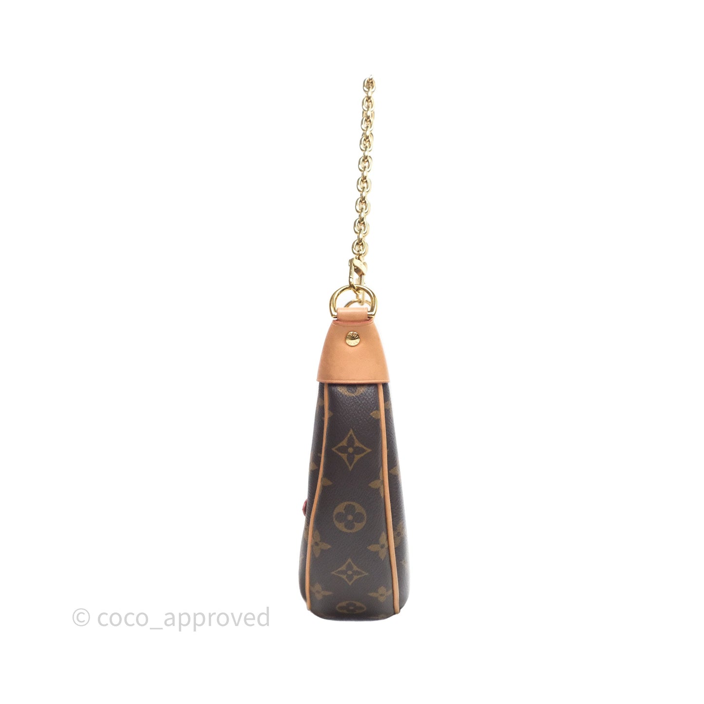 Louis Vuitton Loop Monogram Canvas