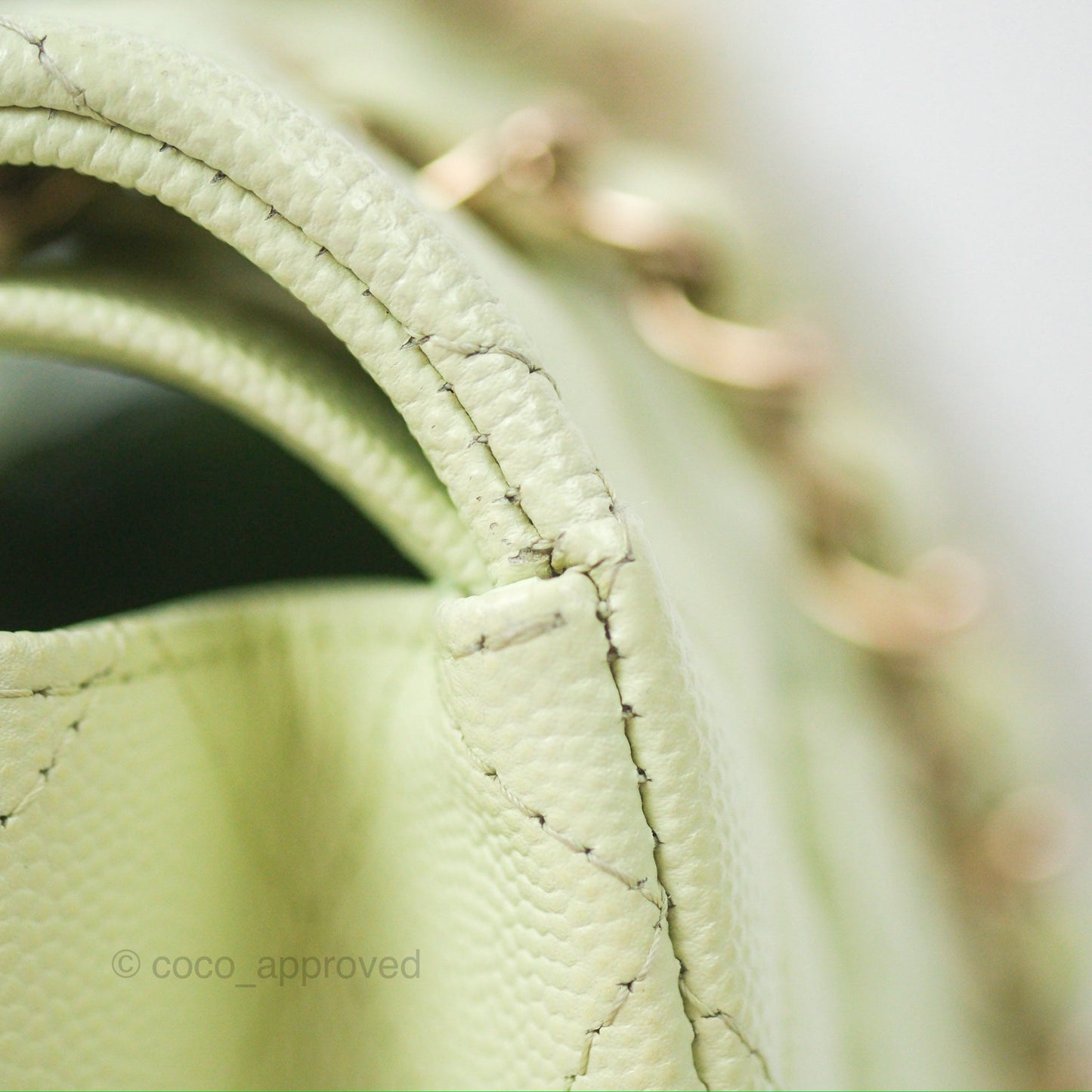 Chanel Small Quilted Classic Flap Mint Green Caviar Gold Hardware 22C