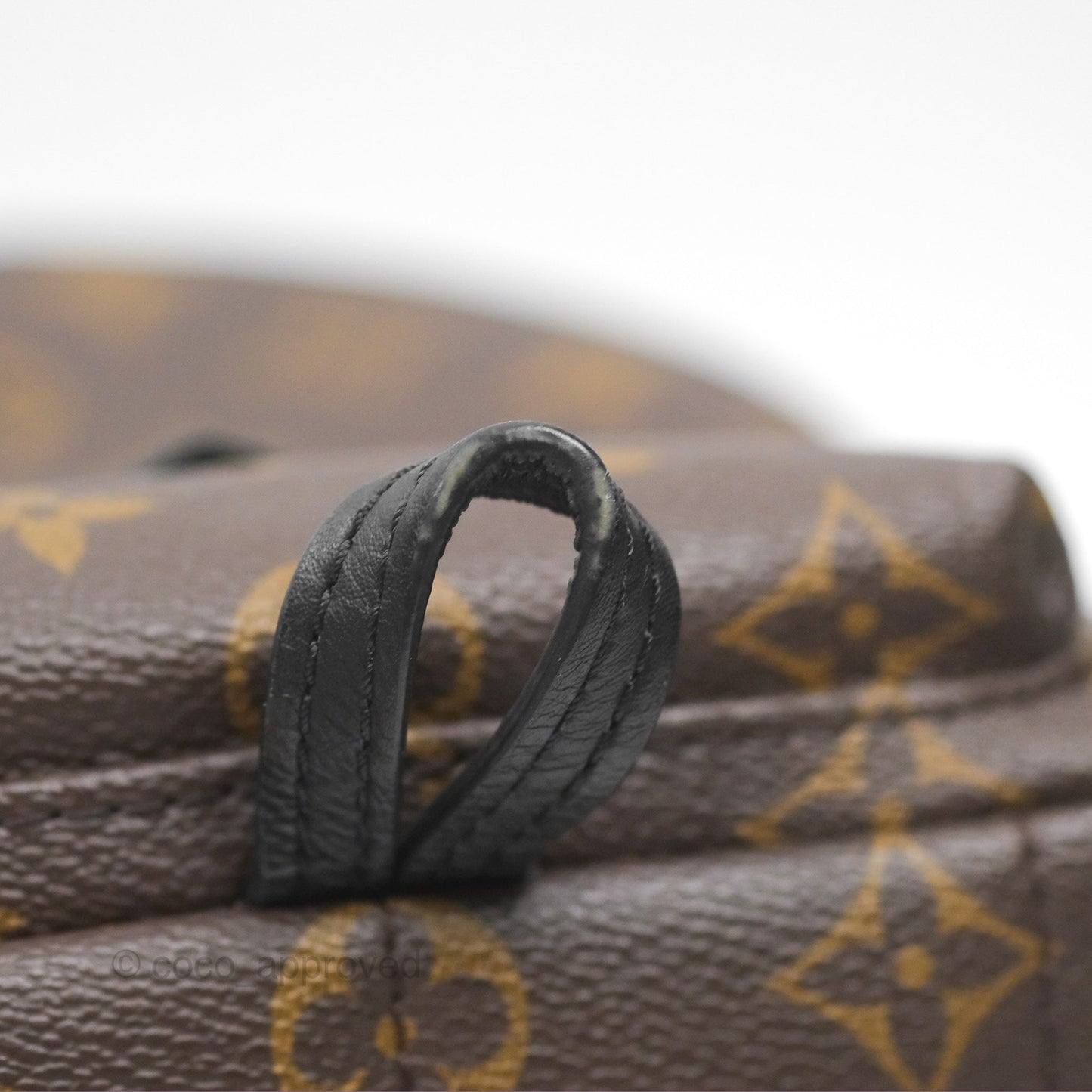 Louis Vuitton Mini Palm Springs Backpack⁣ Monogram