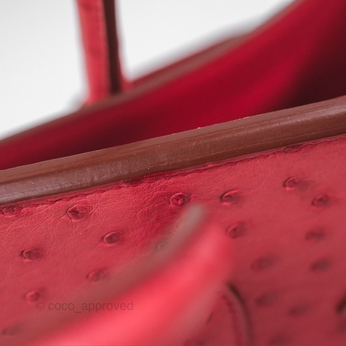 Hermès Birkin Retourne 30 Bougainvillea Ostrich Gold Hardware