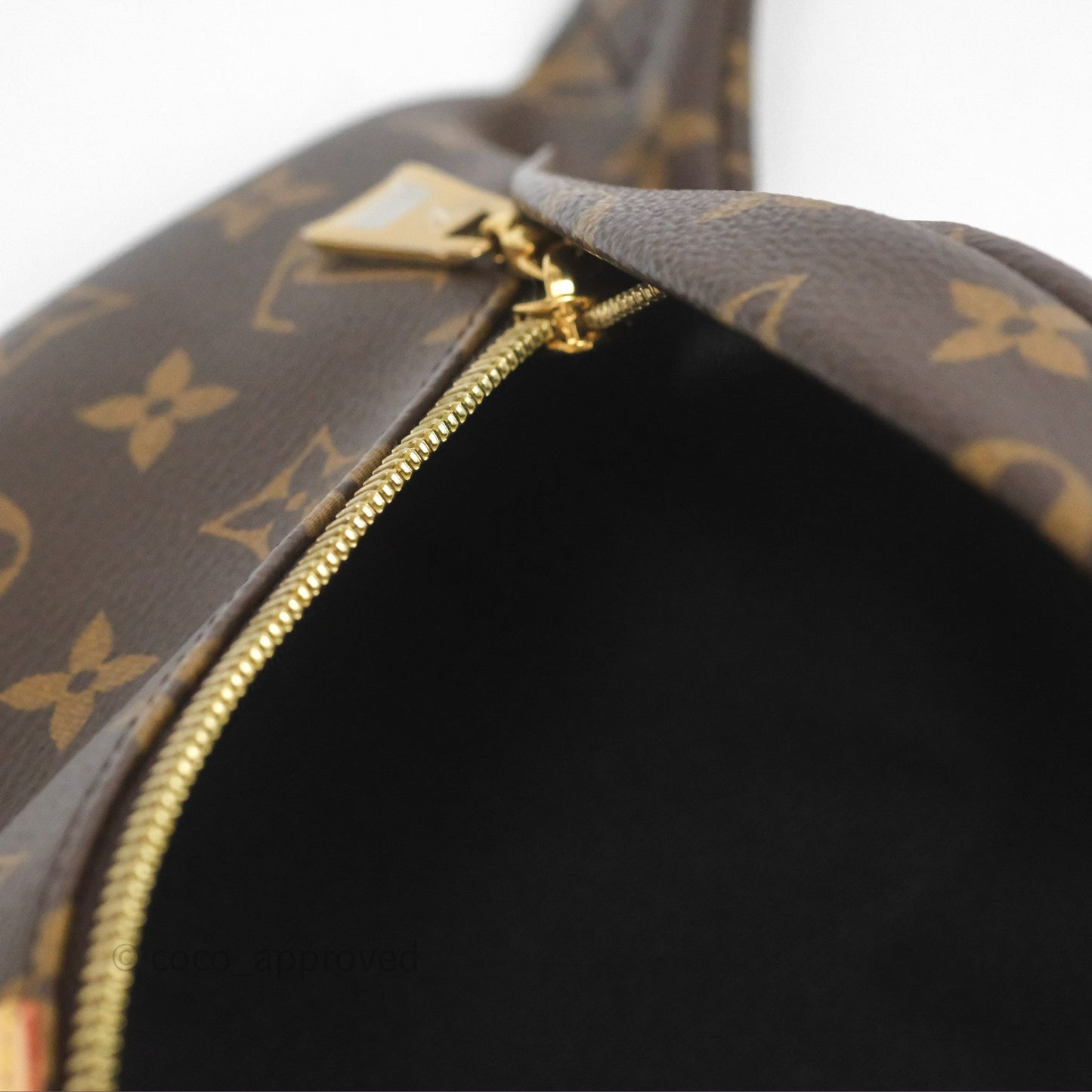 Louis Vuitton Bum Bag Monogram Canvas