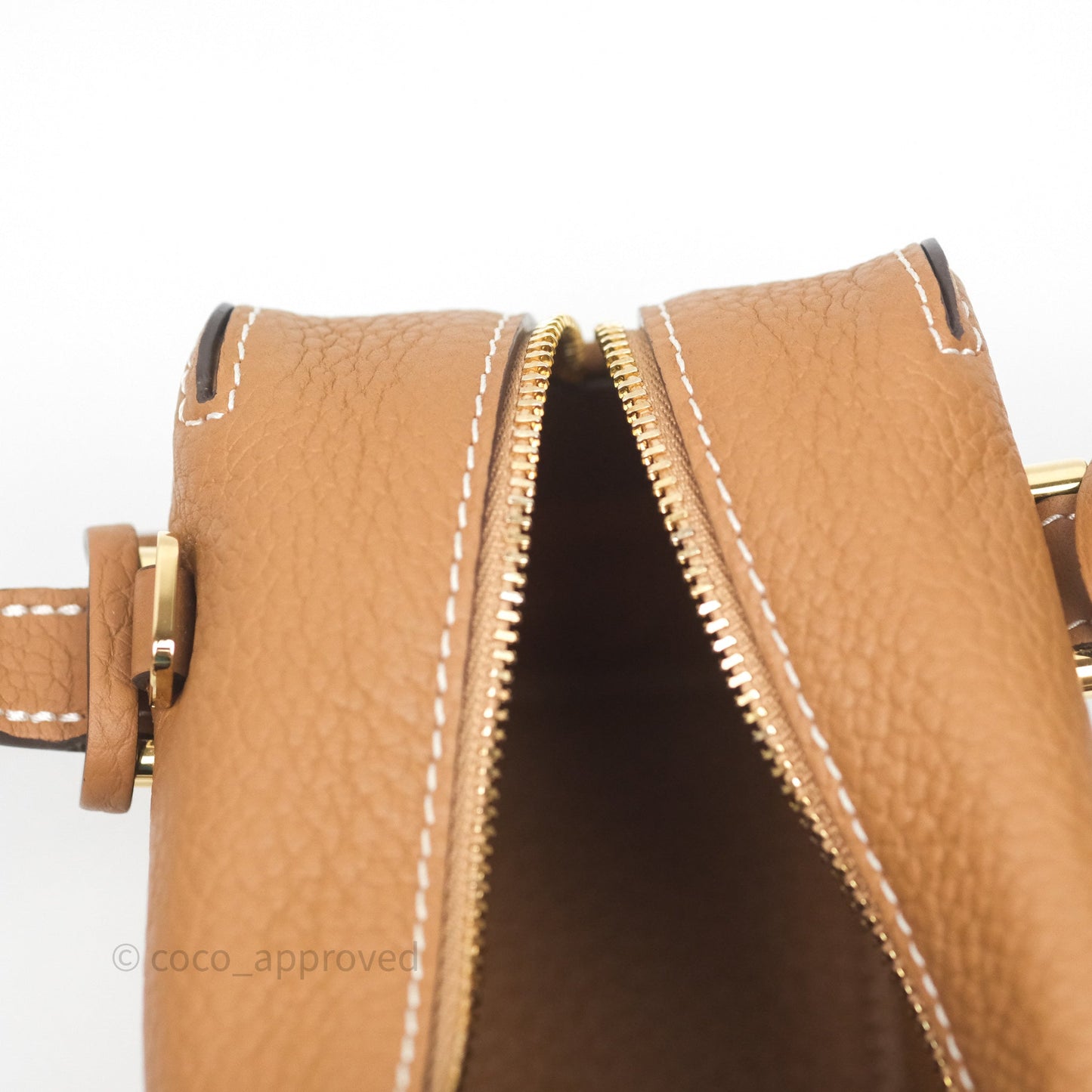Delvaux Cool Box Nano Taurillon Soft Grained Calfskin Vegetal Ivory Gold Hardware