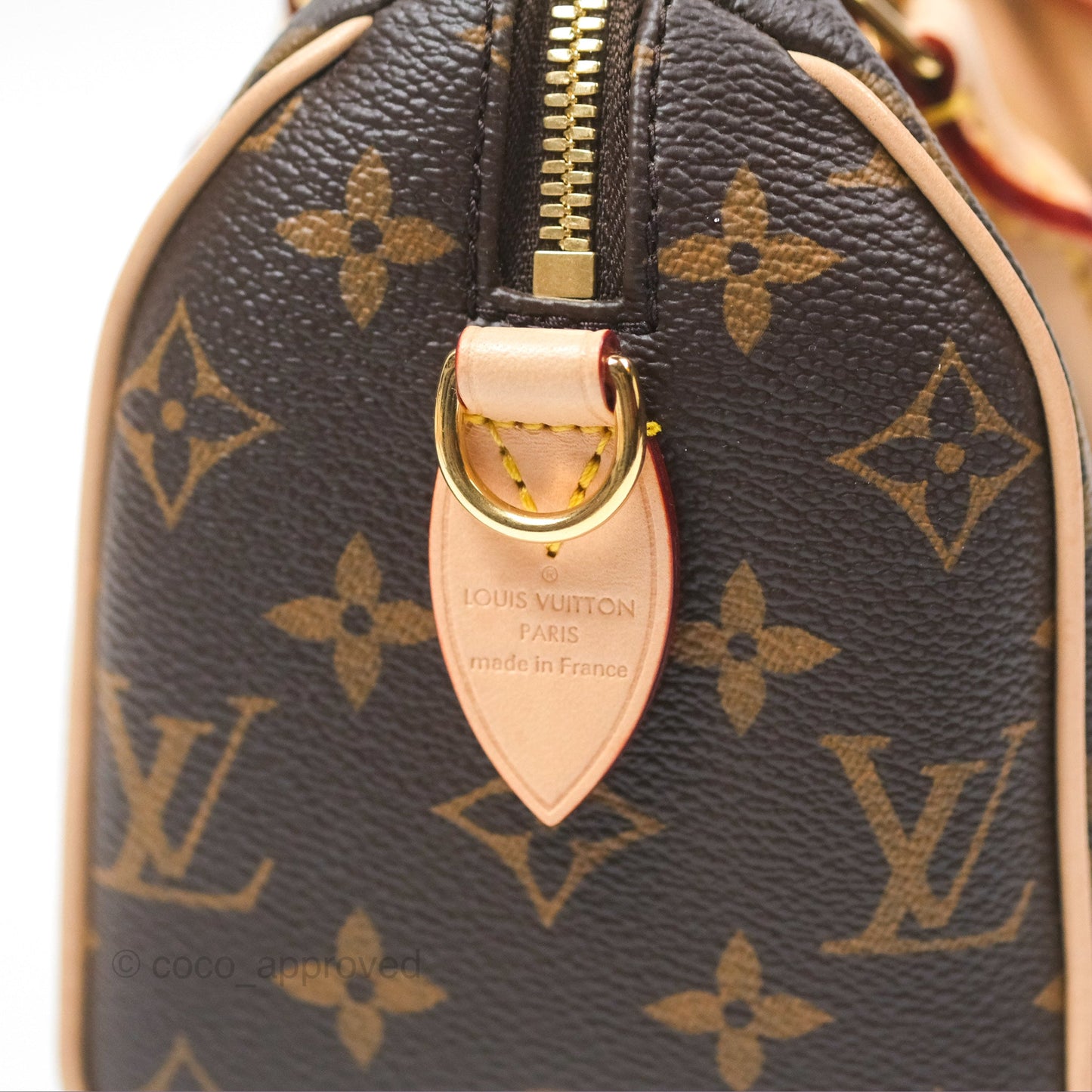 Louis Vuitton Speedy Bandoulière 20 Monogram
