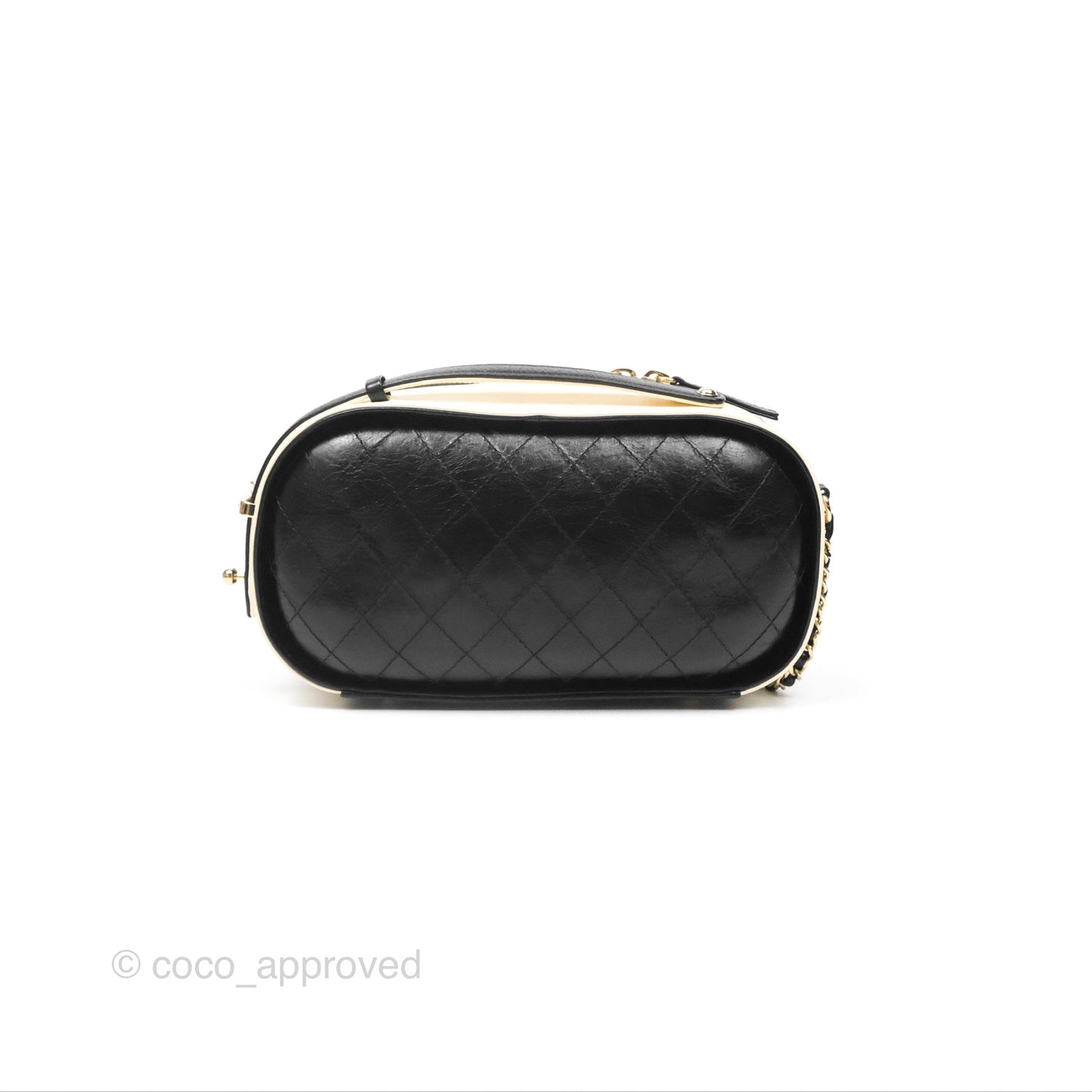 Chanel Camera Case Bag Black/White Calfskin Gold Hardware