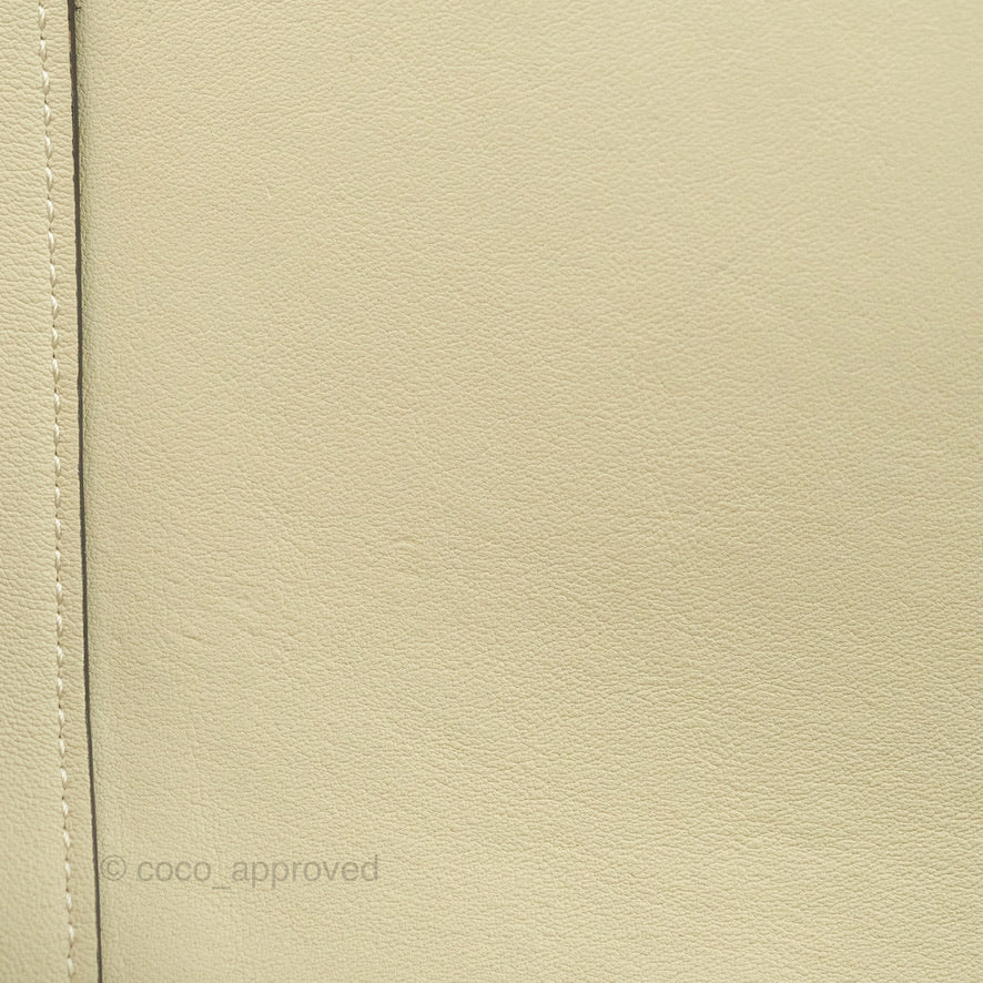 Celine Frame Bag Light Green