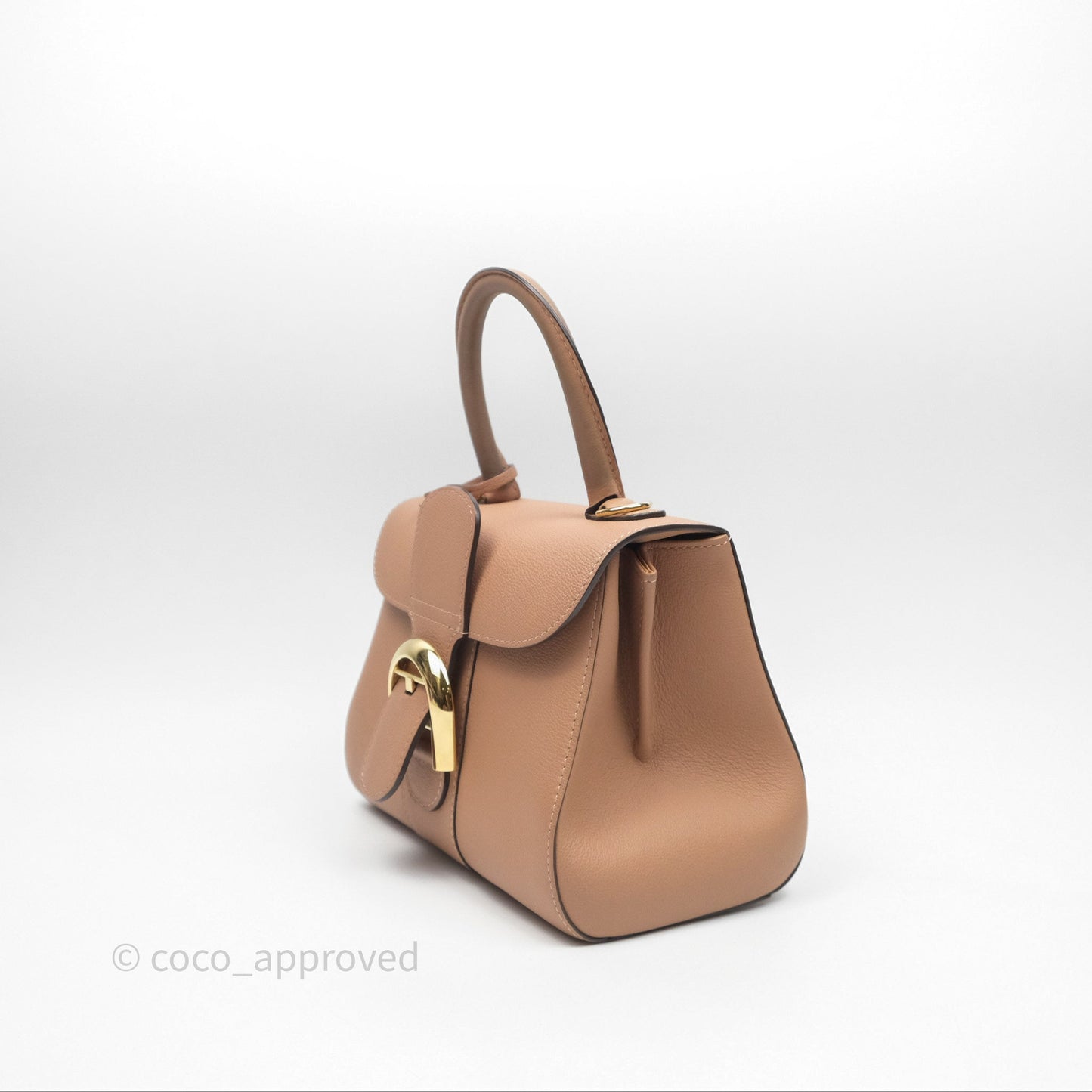 Delvaux Mini Brillant Bag Vison Grained Calfskin Gold Hardware with Twilly