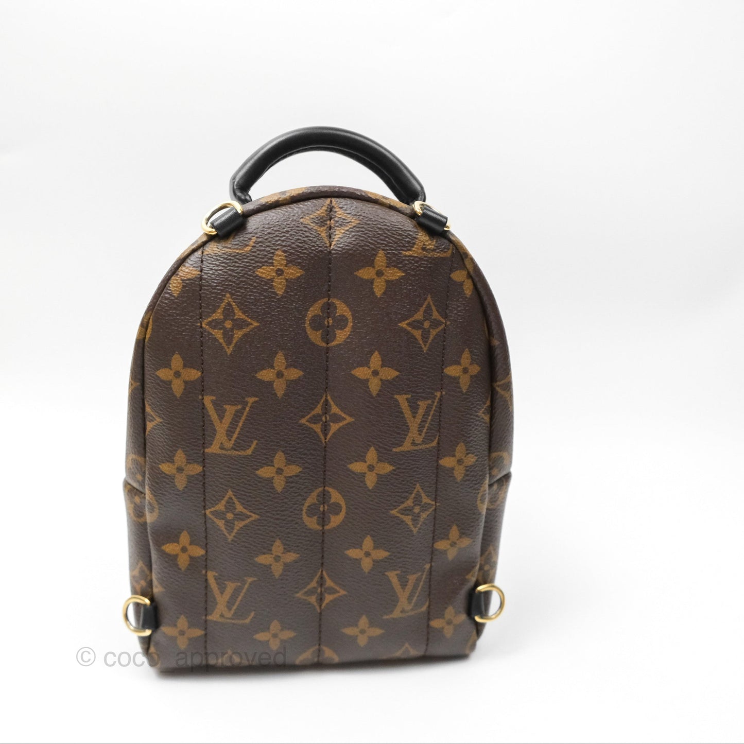 Louis Vuitton Mini Palm Springs Backpack⁣ Monogram Canvas