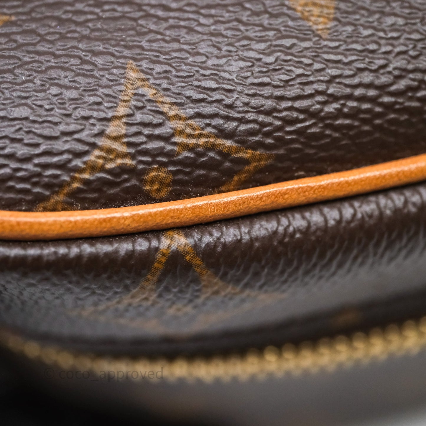 Louis Vuitton Nice Nano Monogram Canvas