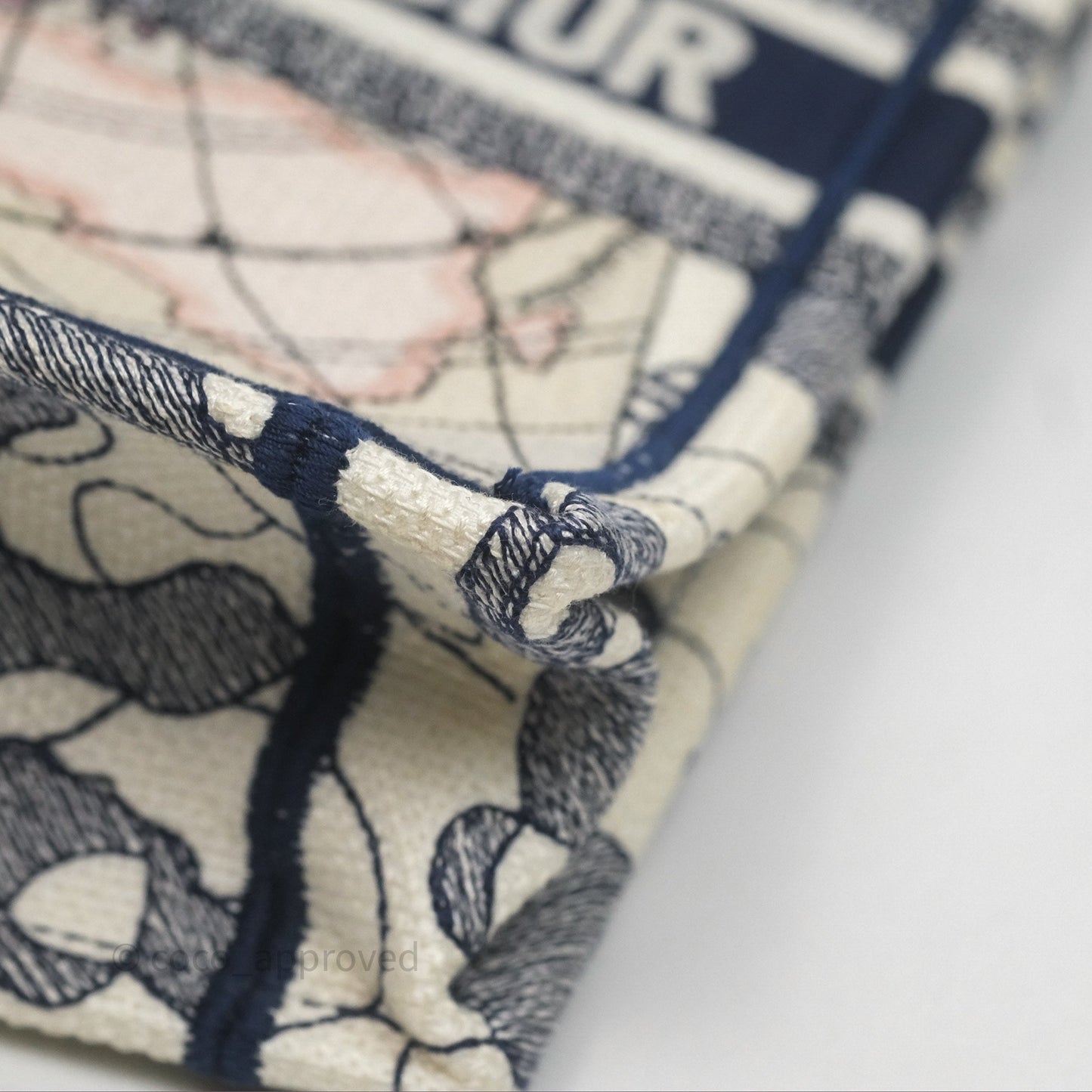 Dior Around The World Vertical Book Tote Blue White
