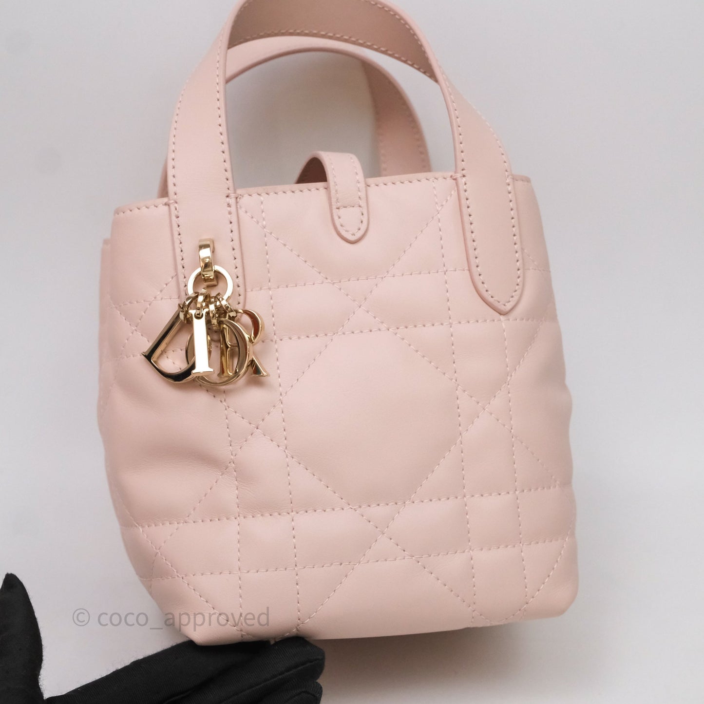 Christian Dior Toujours Vertical Nano Tote Bag Pink