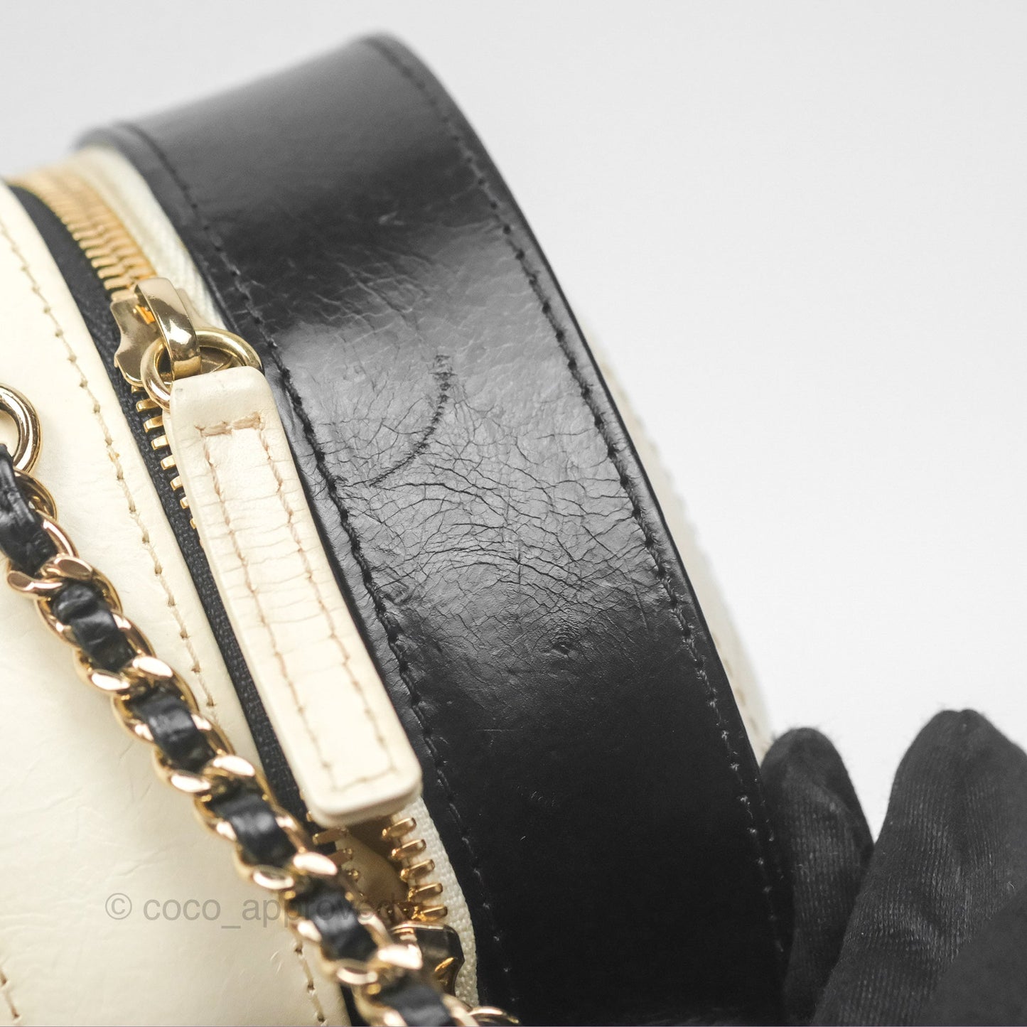 Chanel Camera Case Bag Black/White Calfskin Gold Hardware