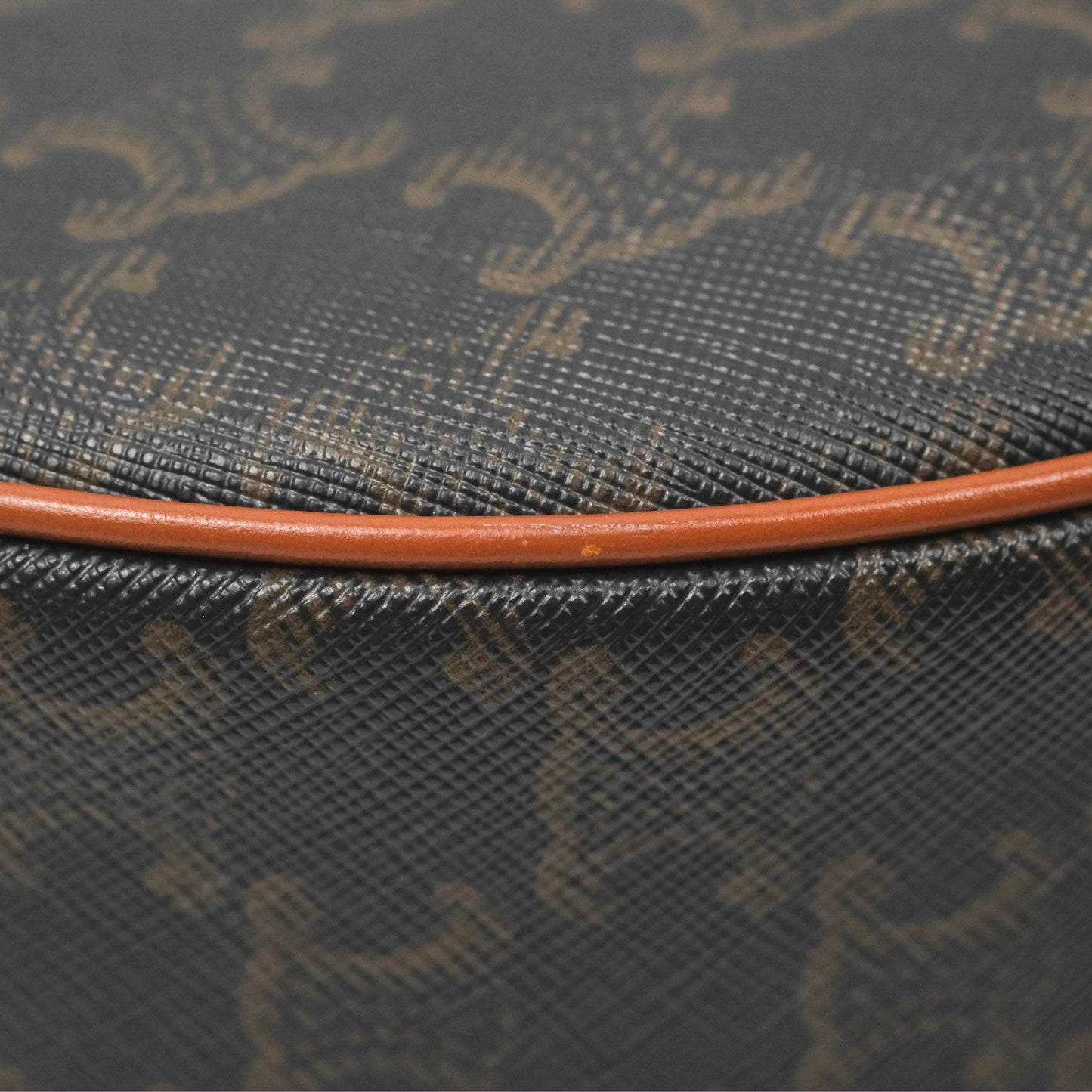 Celine Ava Bag In Triomphe Canvas Calfskin Tan