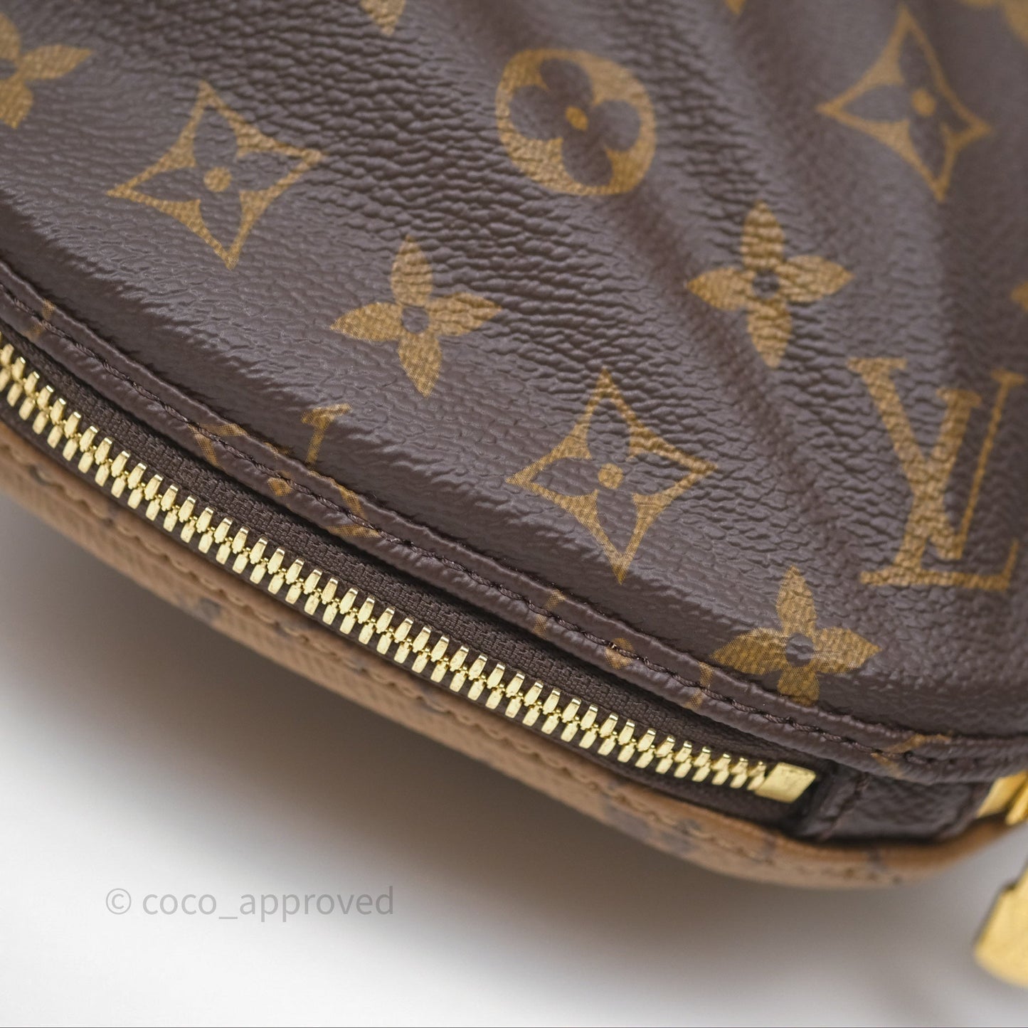 Louis Vuitton Venus Monogram Reverse Canvases